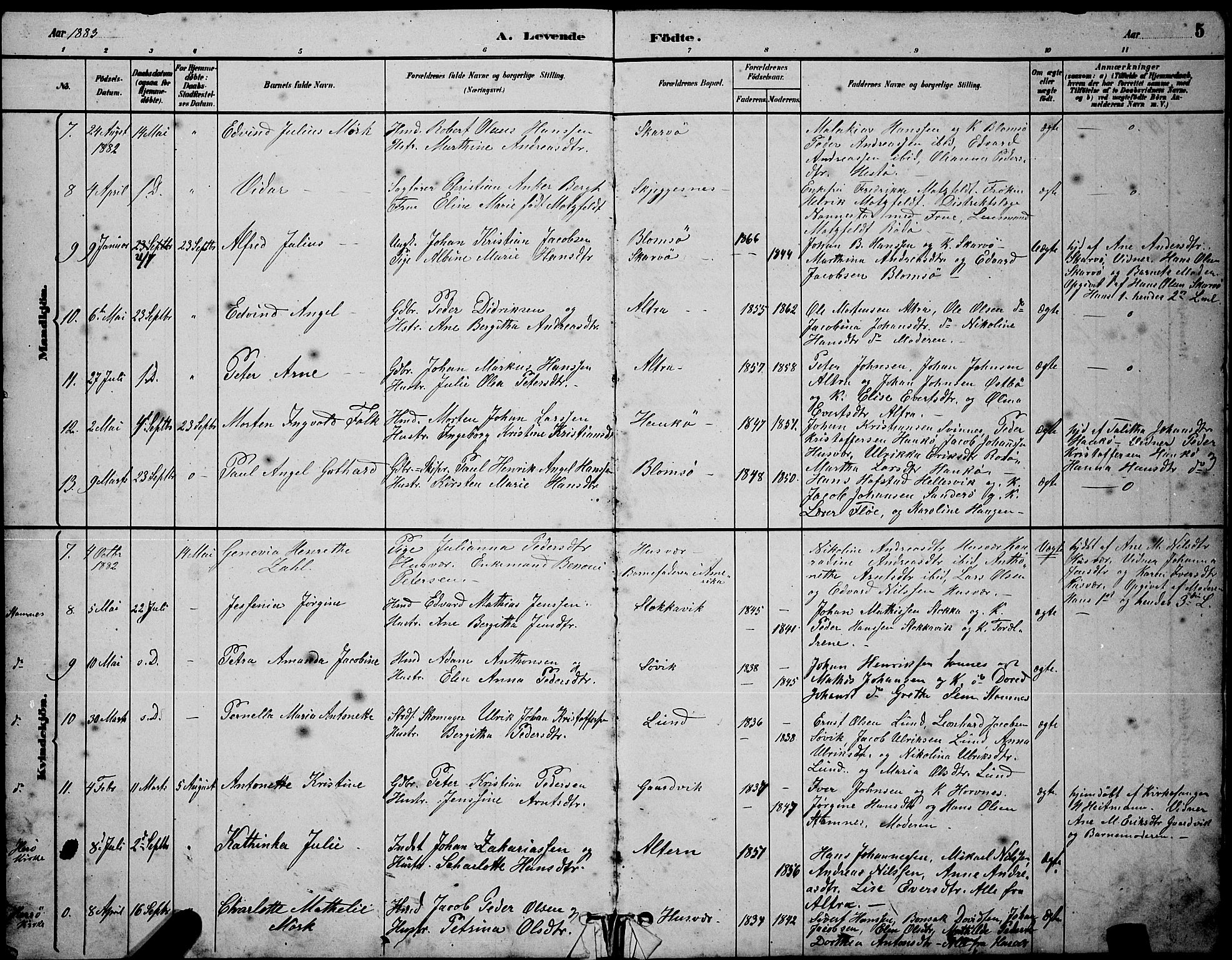 Ministerialprotokoller, klokkerbøker og fødselsregistre - Nordland, SAT/A-1459/830/L0462: Parish register (copy) no. 830C04, 1882-1895, p. 5