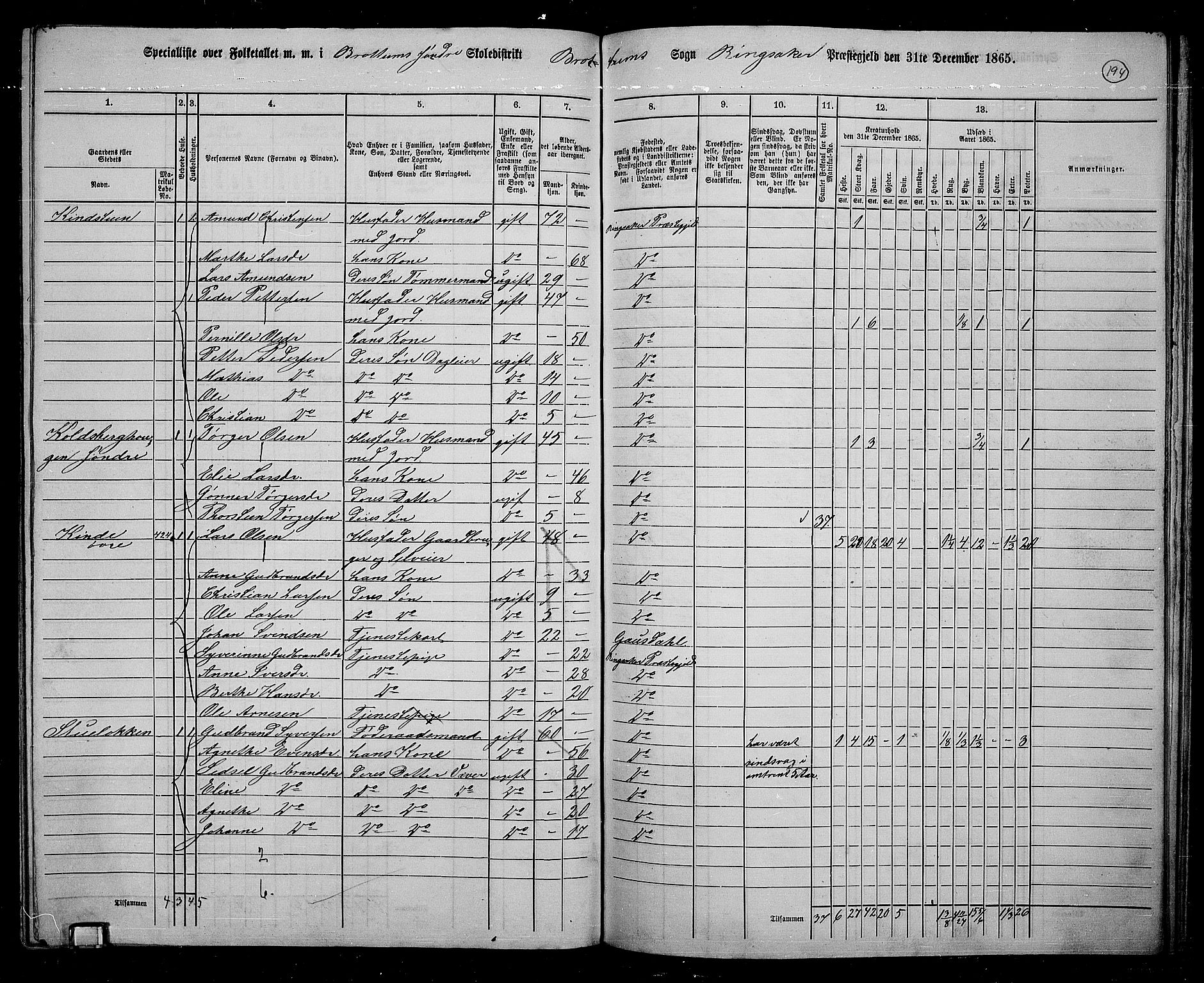 RA, 1865 census for Ringsaker, 1865, p. 436