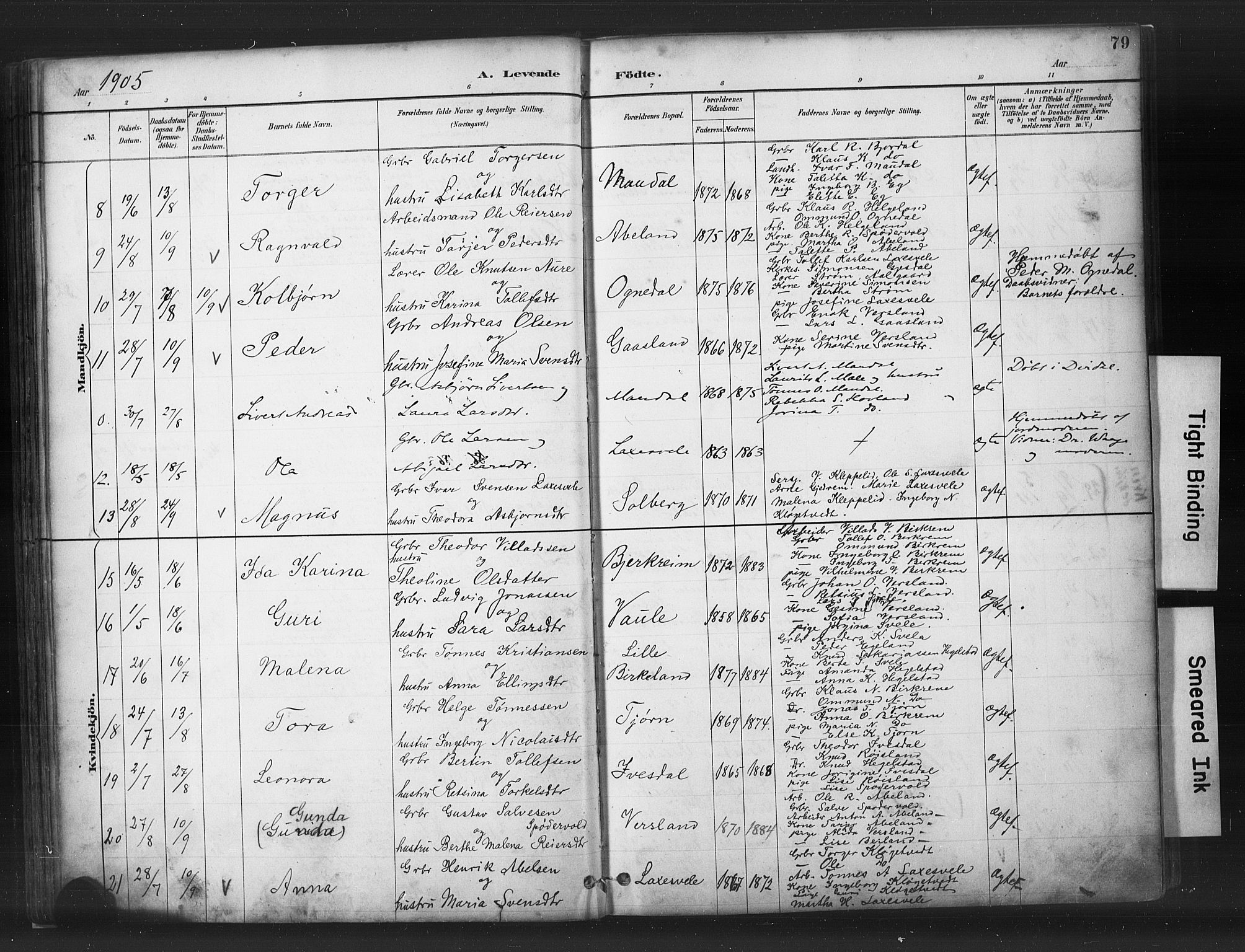 Helleland sokneprestkontor, AV/SAST-A-101810: Parish register (copy) no. B 5, 1887-1908, p. 79
