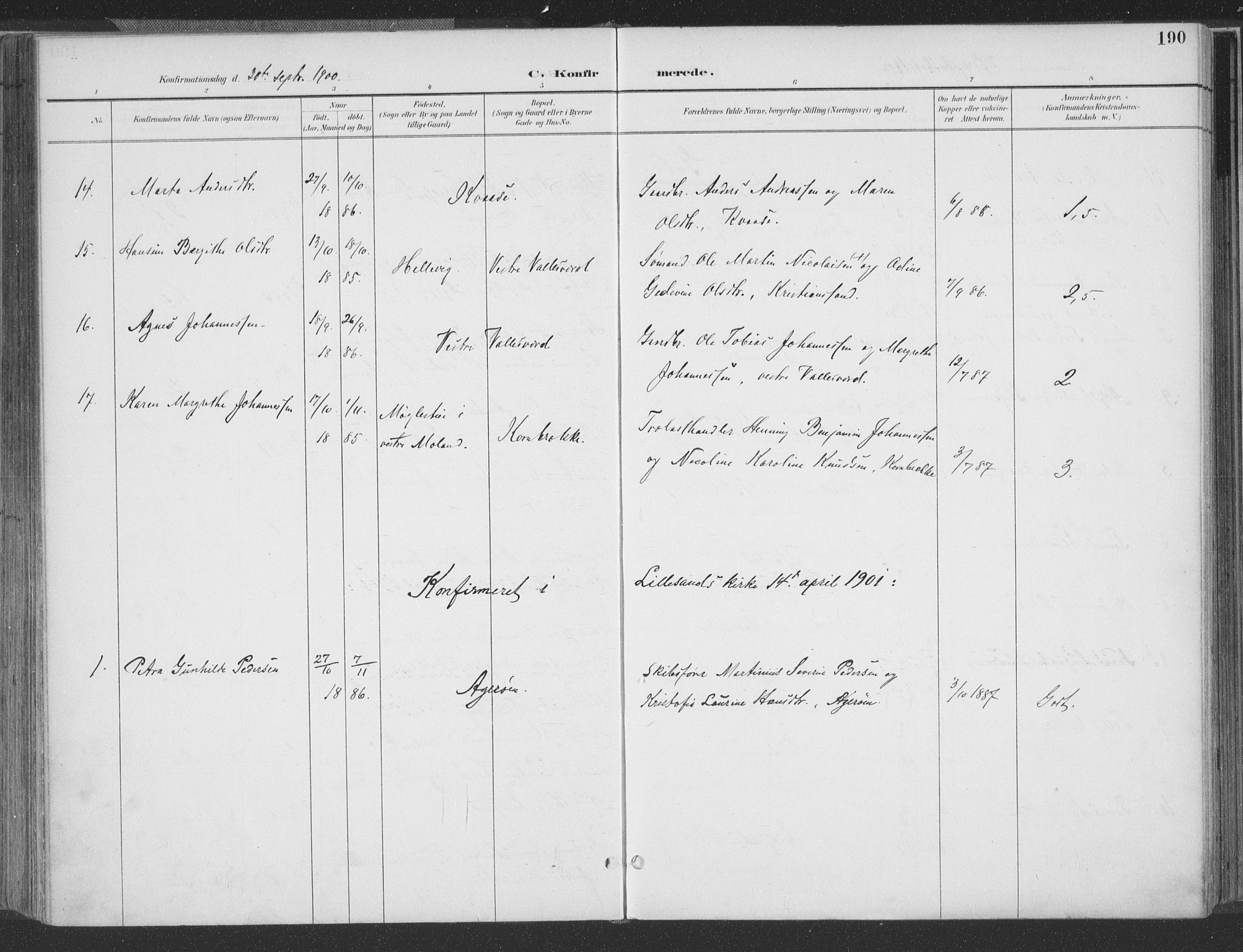 Høvåg sokneprestkontor, AV/SAK-1111-0025/F/Fa/L0006: Parish register (official) no. A 6, 1894-1923, p. 190