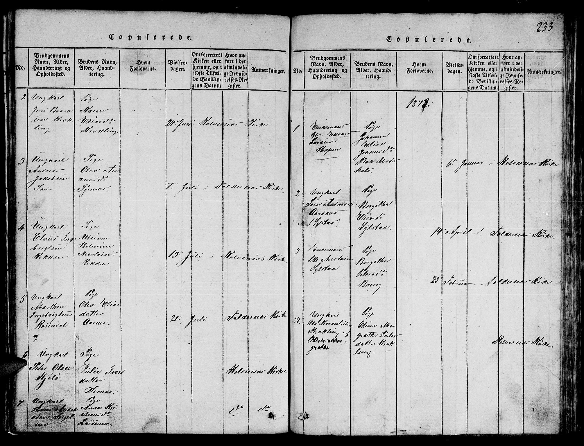 Ministerialprotokoller, klokkerbøker og fødselsregistre - Nord-Trøndelag, SAT/A-1458/780/L0648: Parish register (copy) no. 780C01 /3, 1815-1877, p. 233
