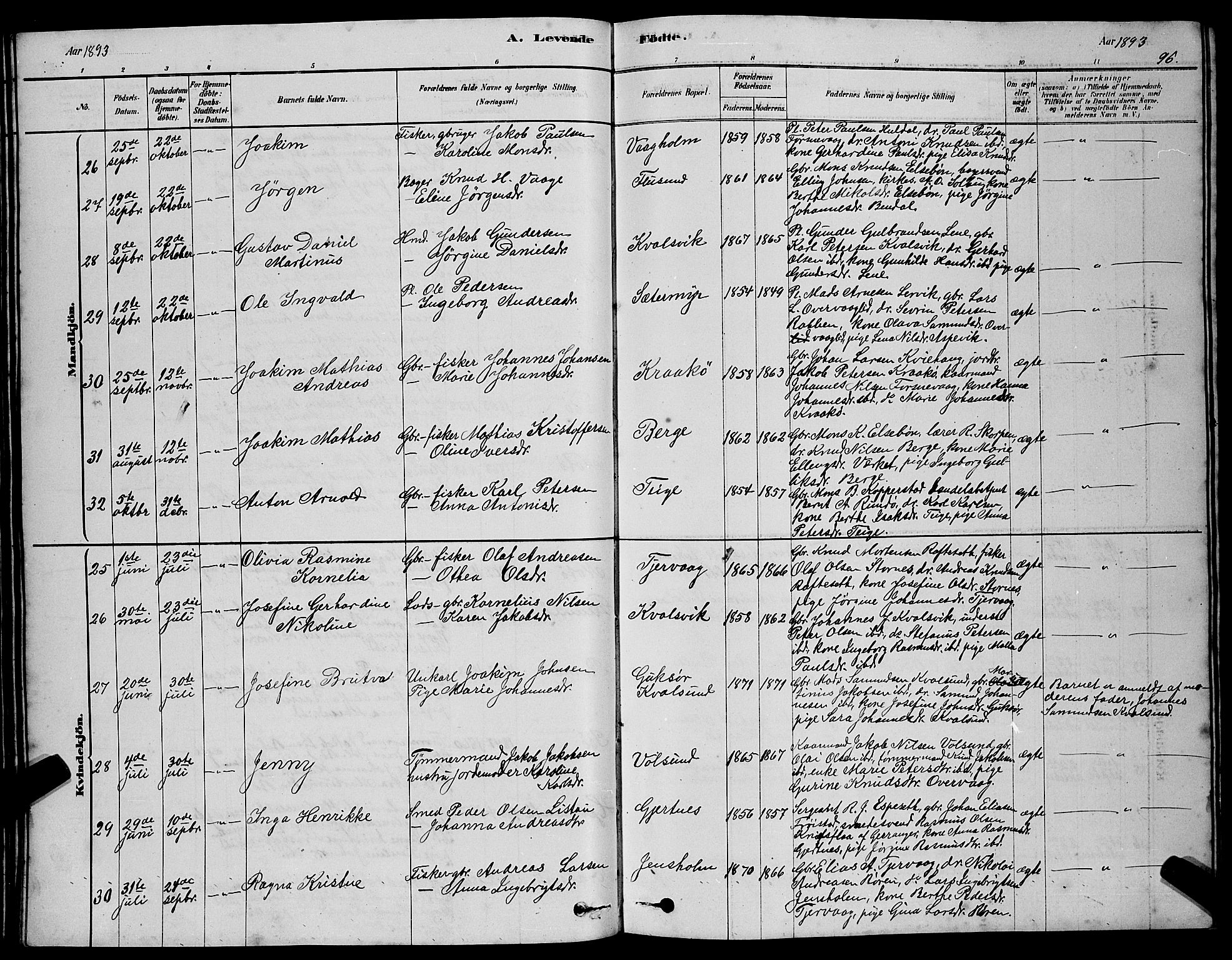 Ministerialprotokoller, klokkerbøker og fødselsregistre - Møre og Romsdal, SAT/A-1454/507/L0081: Parish register (copy) no. 507C04, 1878-1898, p. 96