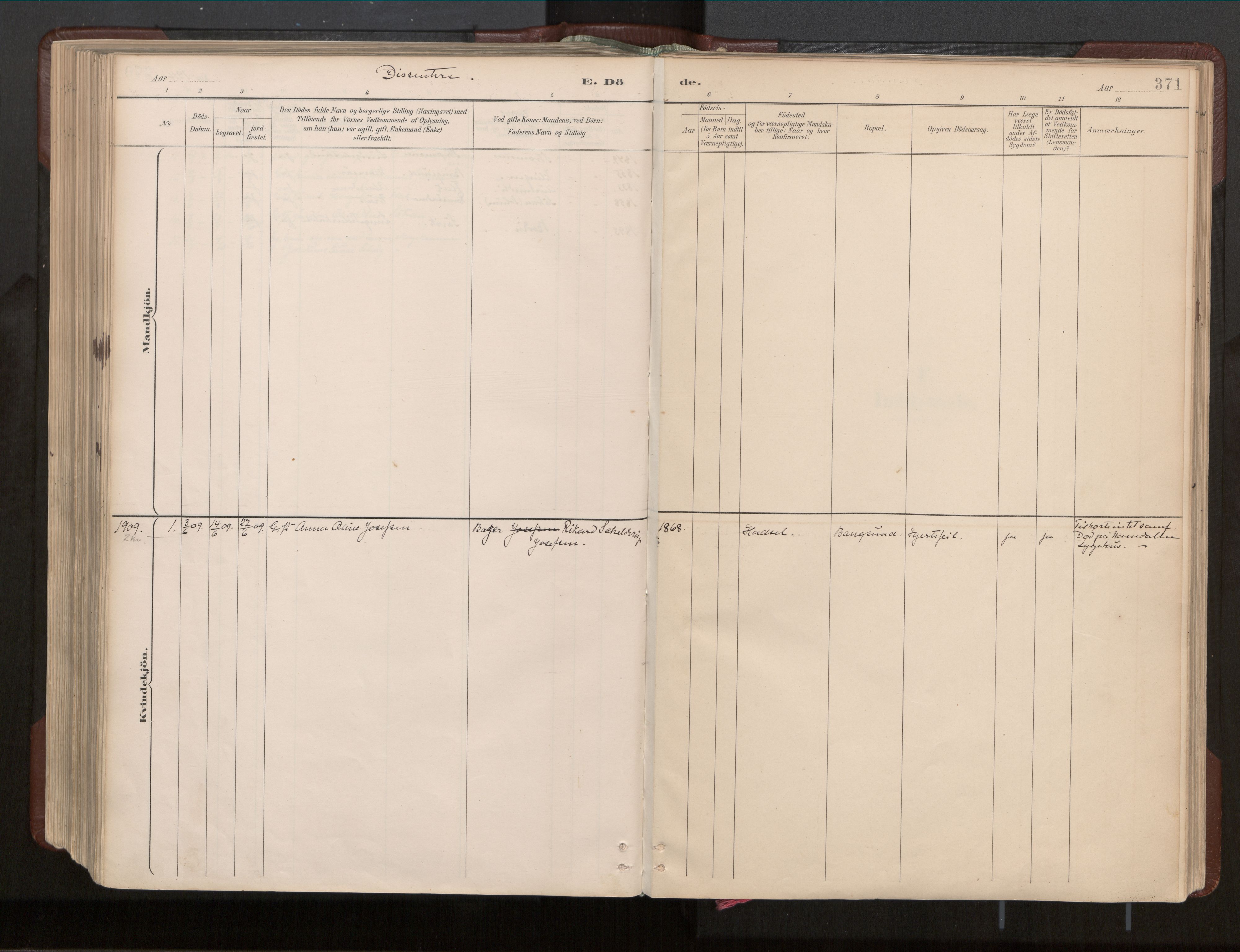 Ministerialprotokoller, klokkerbøker og fødselsregistre - Nord-Trøndelag, SAT/A-1458/770/L0589: Parish register (official) no. 770A03, 1887-1929, p. 371