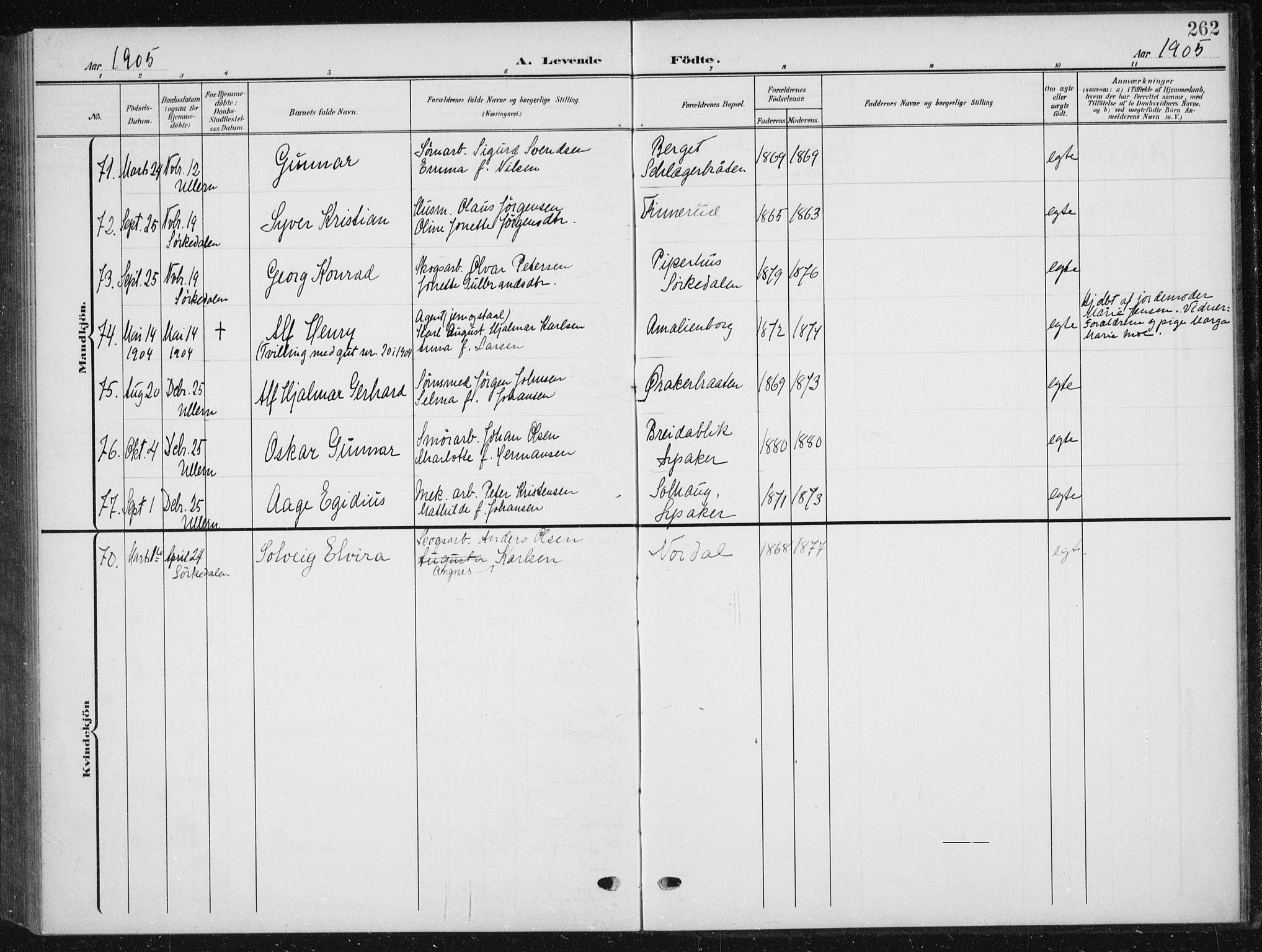 Vestre Aker prestekontor Kirkebøker, AV/SAO-A-10025/F/Fb/L0001: Parish register (official) no. II 1, 1880-1906, p. 262