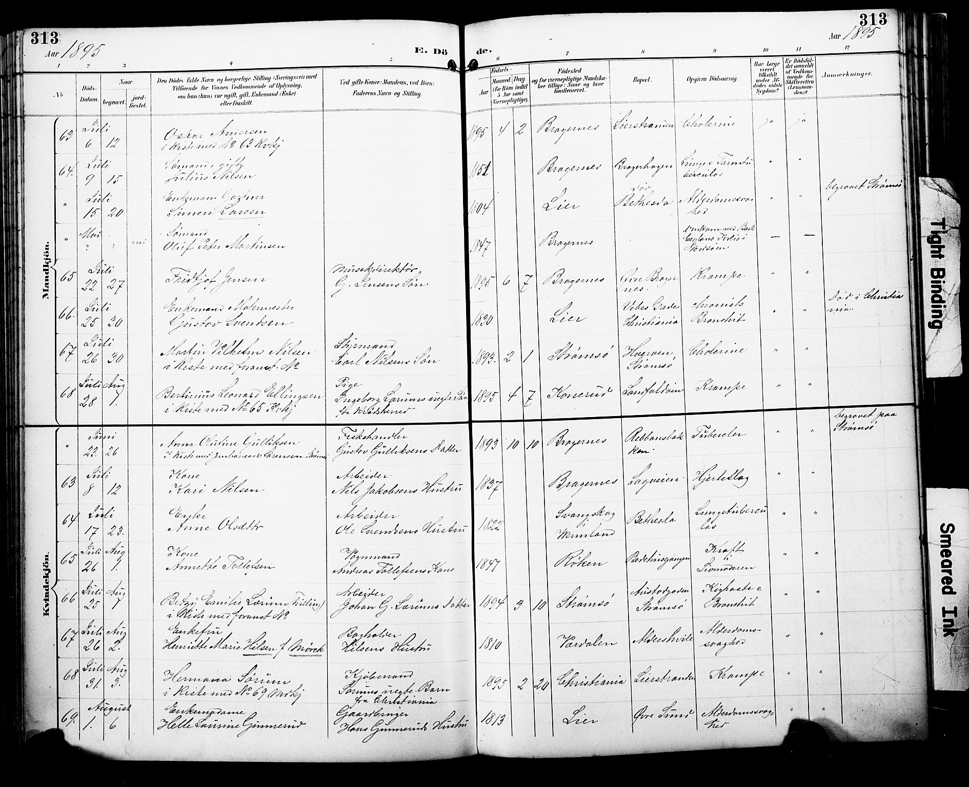 Bragernes kirkebøker, AV/SAKO-A-6/F/Fb/L0008: Parish register (official) no. II 8, 1894-1902, p. 313