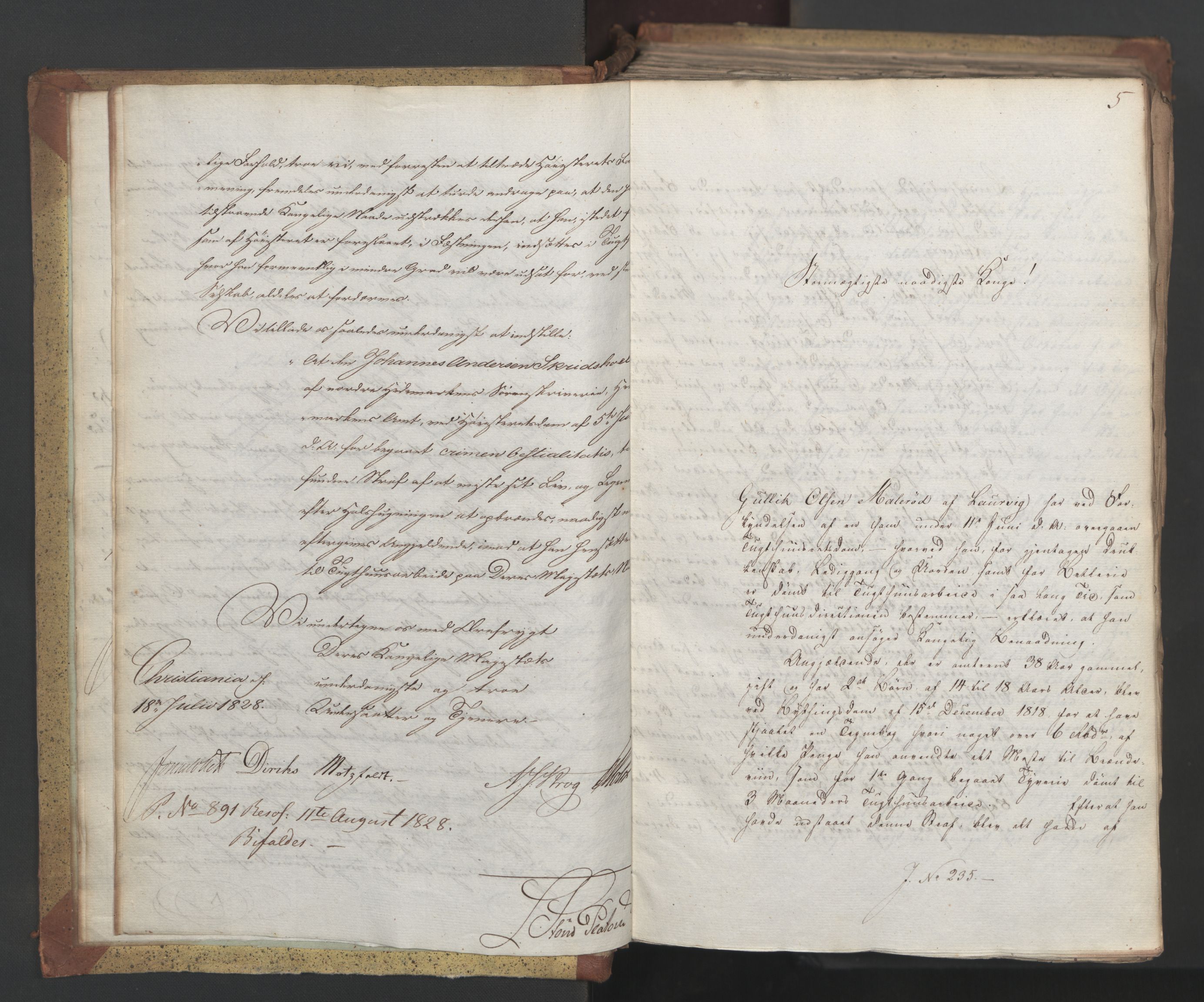 Statsrådsavdelingen i Stockholm, AV/RA-S-1003/D/Da/L0055: Regjeringsinnstillinger nr. 231-435, 1828, p. 9