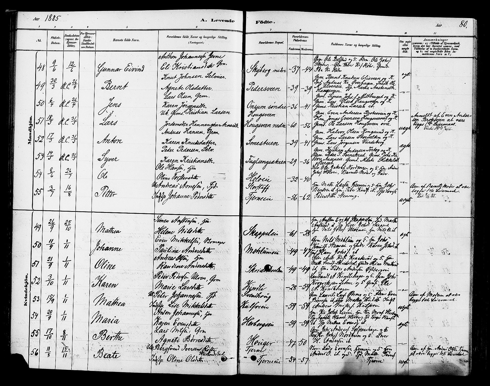 Ringsaker prestekontor, SAH/PREST-014/L/La/L0009: Parish register (copy) no. 9, 1879-1890, p. 80
