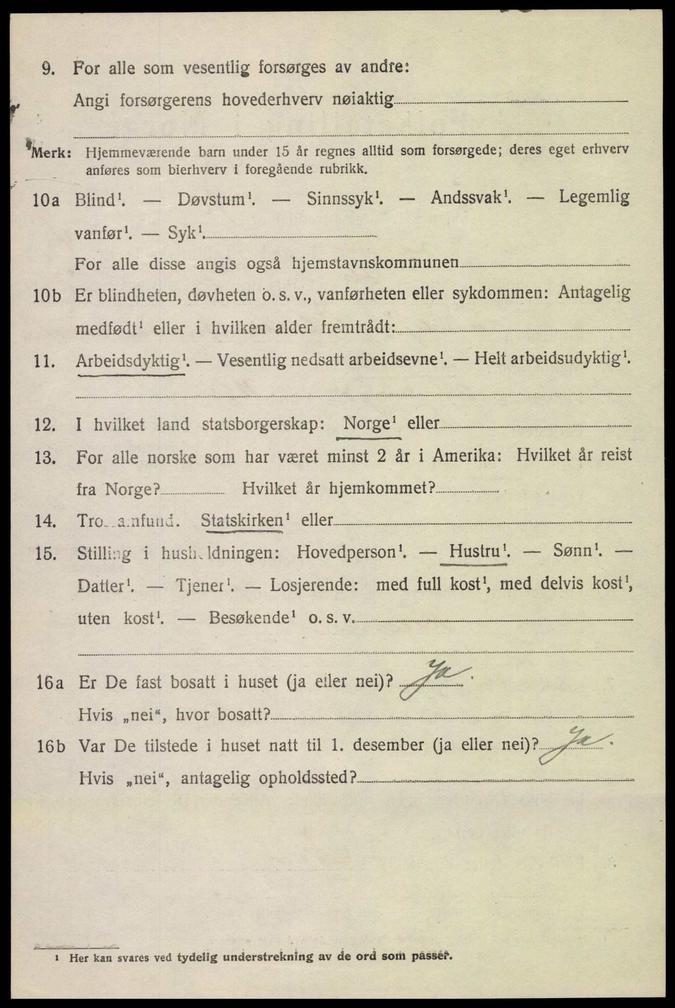 SAH, 1920 census for Lom, 1920, p. 3141