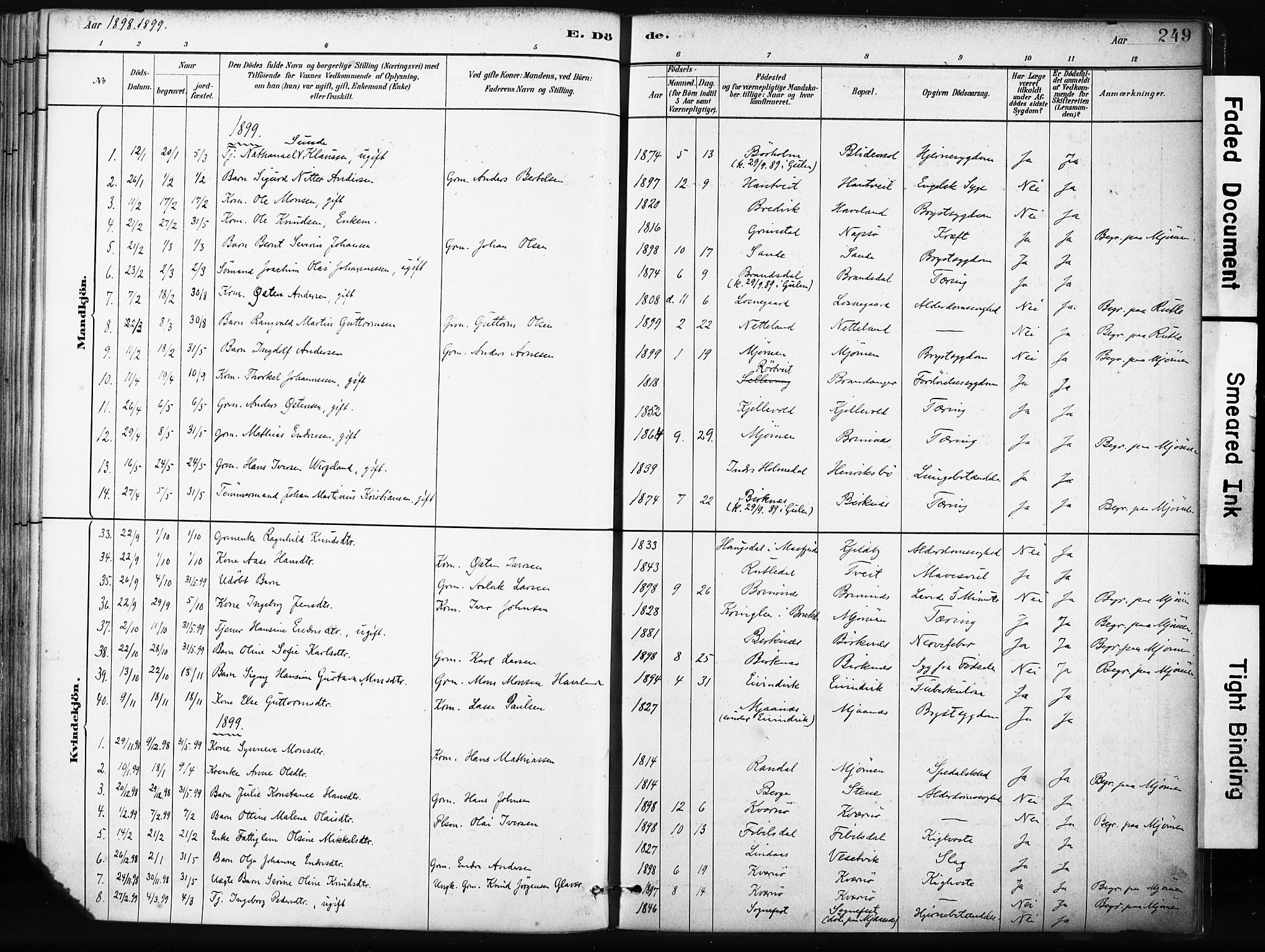 Gulen sokneprestembete, SAB/A-80201/H/Haa/Haab/L0001: Parish register (official) no. B 1, 1881-1905, p. 249