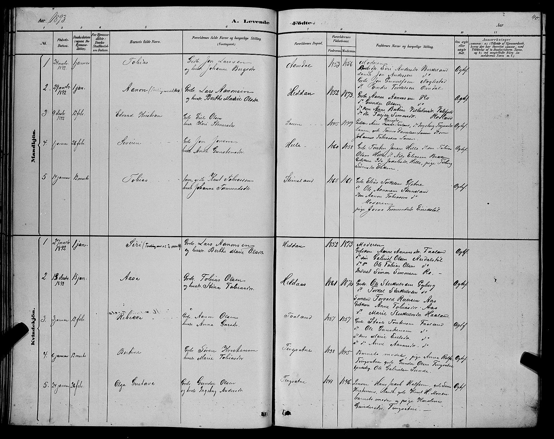 Hægebostad sokneprestkontor, SAK/1111-0024/F/Fb/Fba/L0003: Parish register (copy) no. B 3, 1883-1896, p. 40