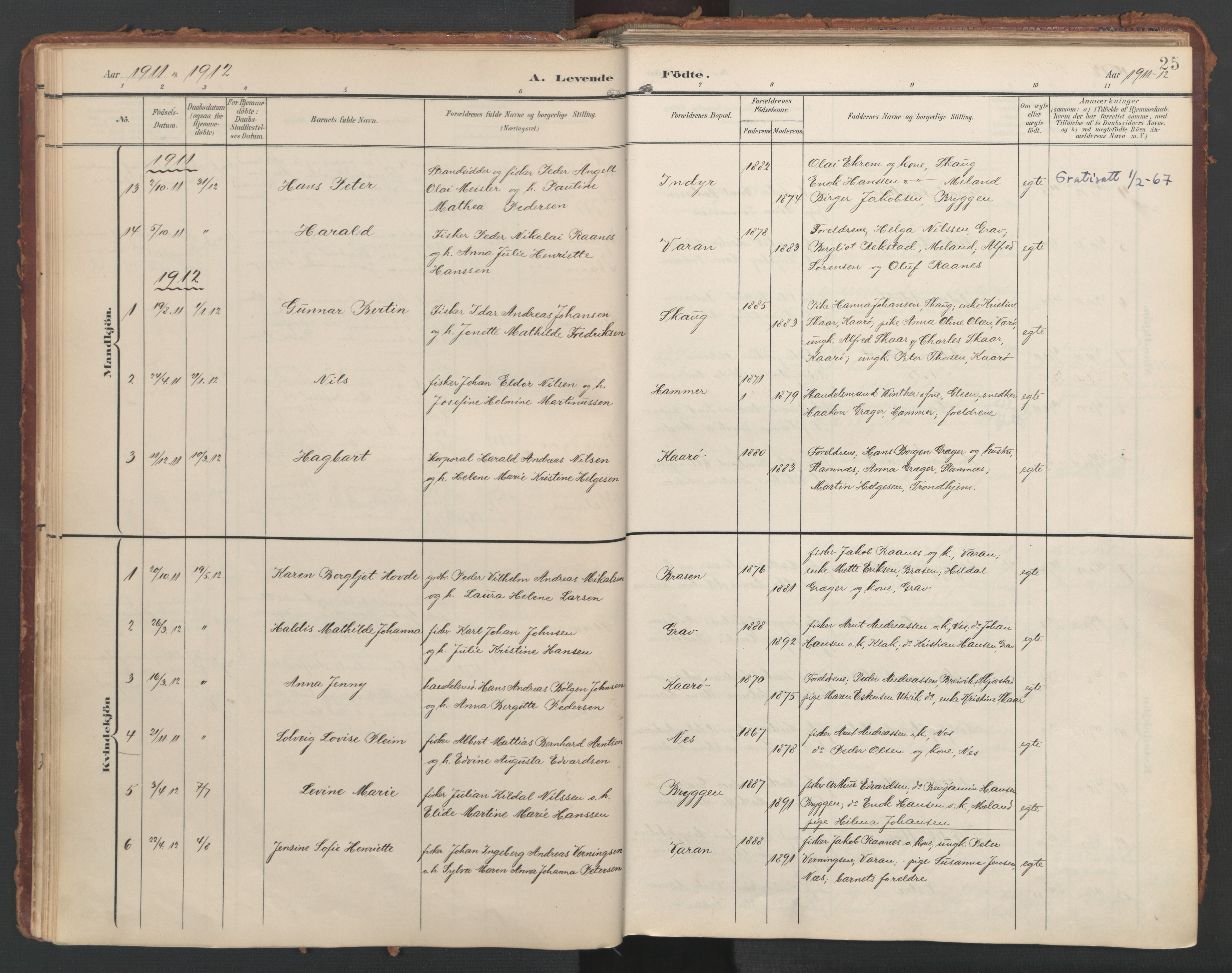 Ministerialprotokoller, klokkerbøker og fødselsregistre - Nordland, SAT/A-1459/808/L0129: Parish register (official) no. 808A02, 1903-1931, p. 25