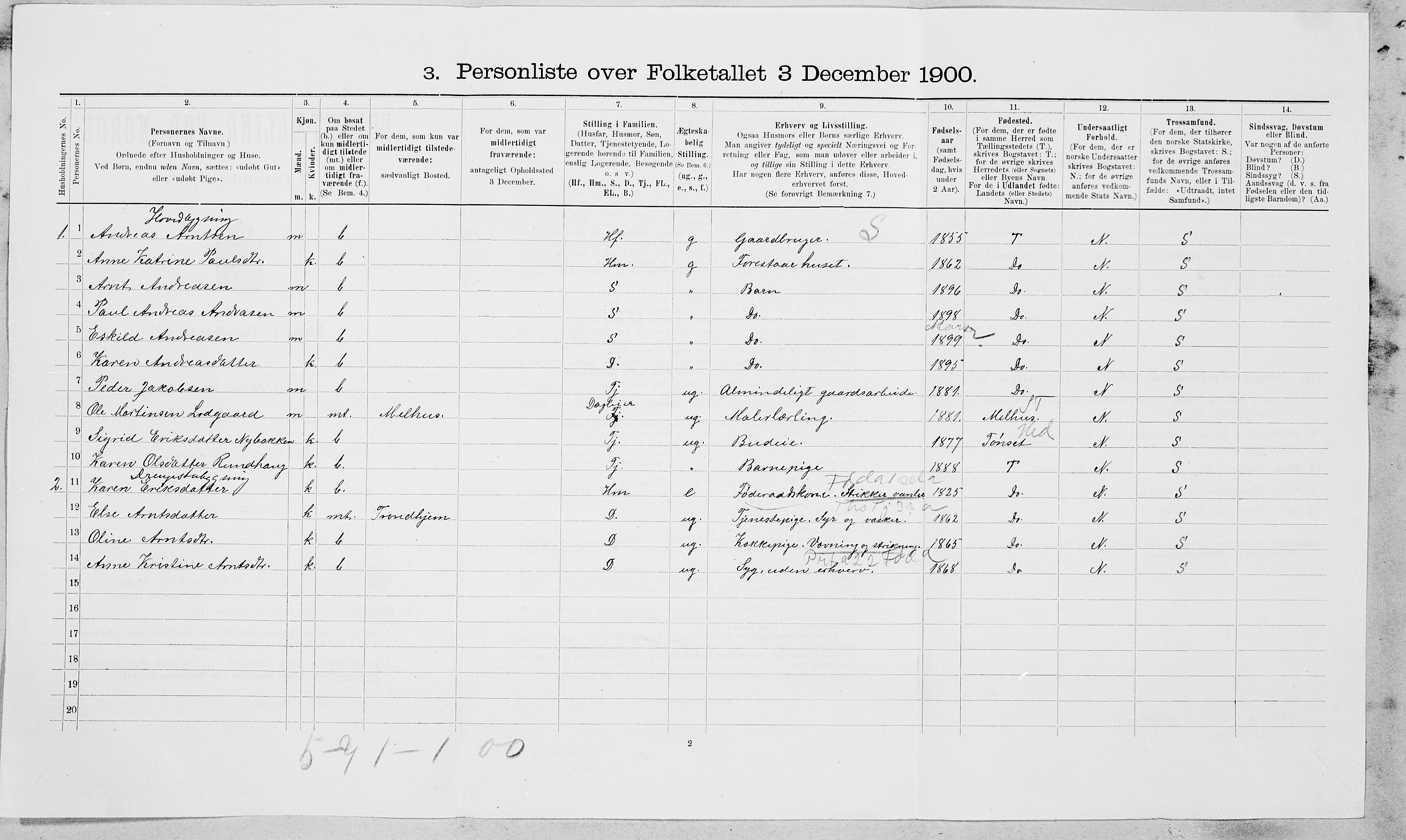 SAT, 1900 census for Klæbu, 1900, p. 295