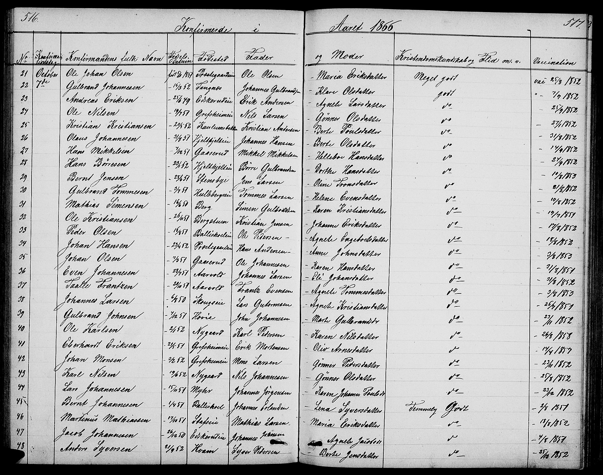 Nes prestekontor, Hedmark, SAH/PREST-020/L/La/L0005: Parish register (copy) no. 5, 1852-1889, p. 516-517