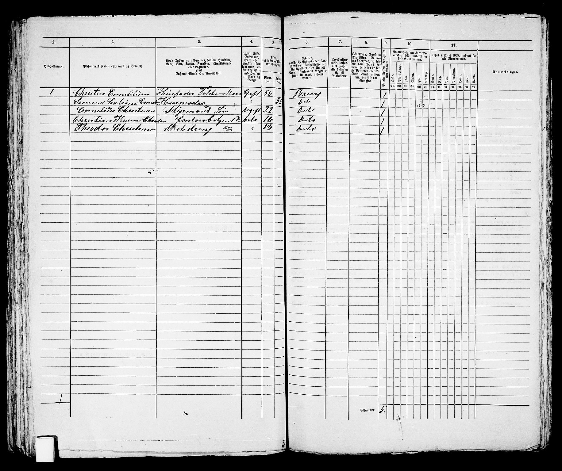 RA, 1865 census for Brevik, 1865, p. 95