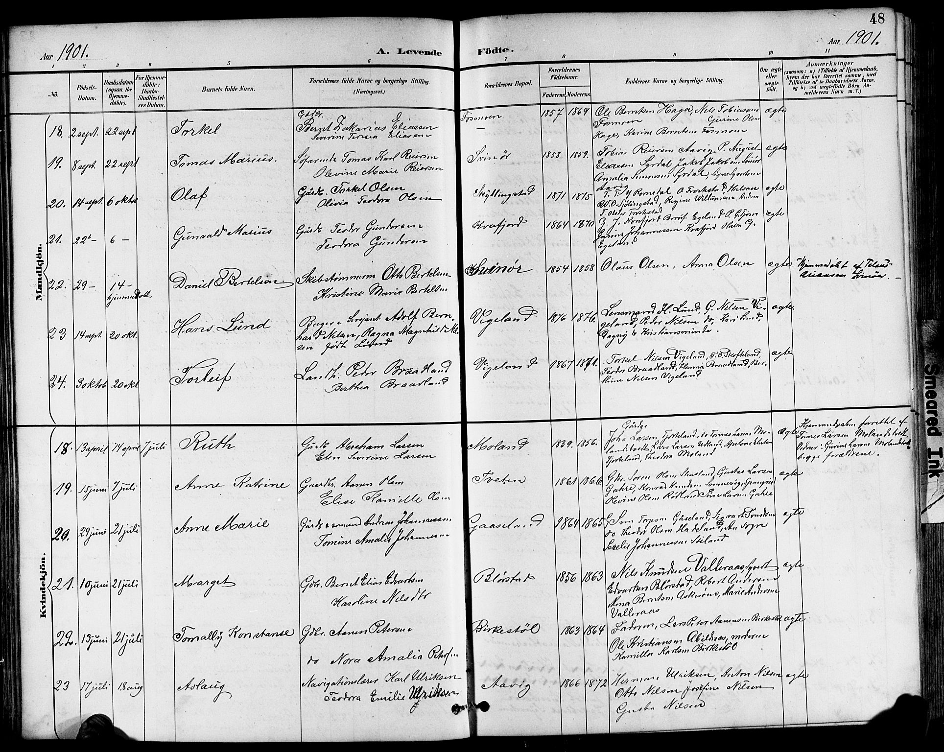 Sør-Audnedal sokneprestkontor, AV/SAK-1111-0039/F/Fb/Fbb/L0006: Parish register (copy) no. B 6, 1893-1915, p. 48