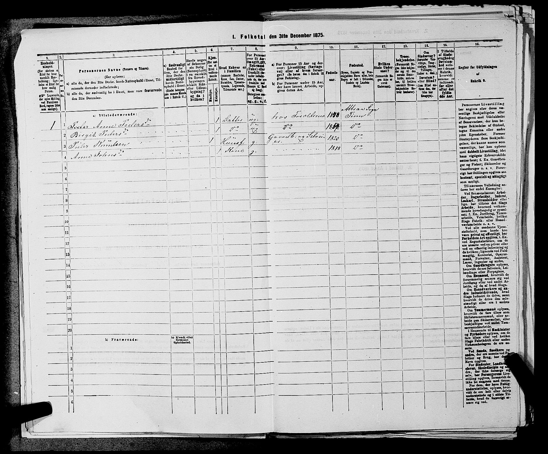 SAKO, 1875 census for 0826P Tinn, 1875, p. 465