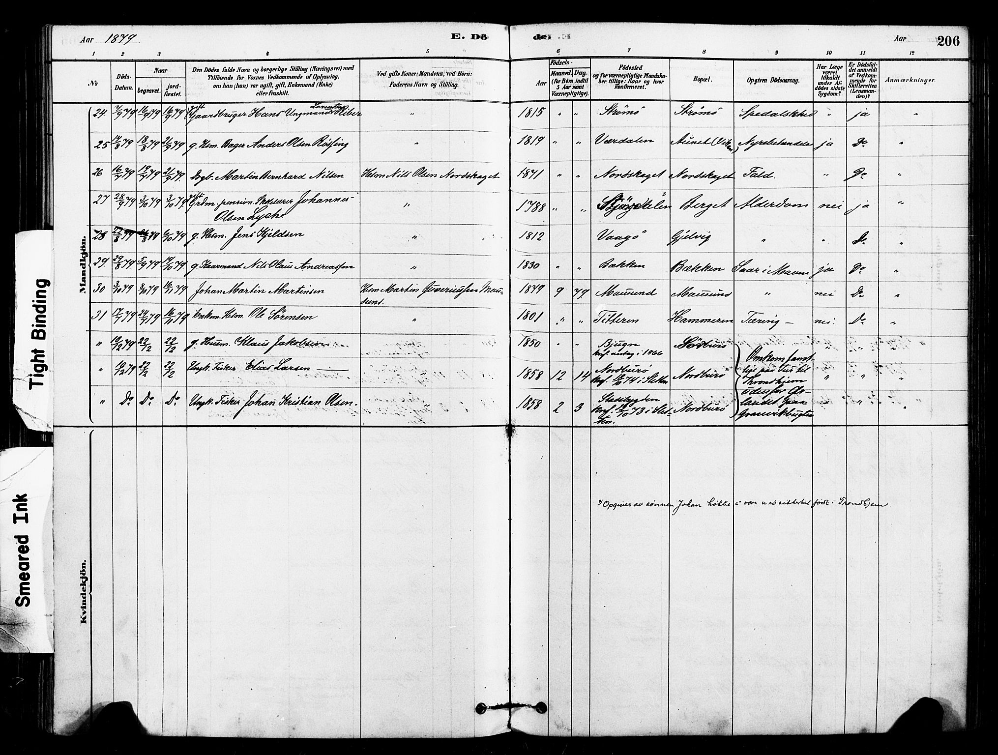 Ministerialprotokoller, klokkerbøker og fødselsregistre - Sør-Trøndelag, AV/SAT-A-1456/640/L0578: Parish register (official) no. 640A03, 1879-1889, p. 206