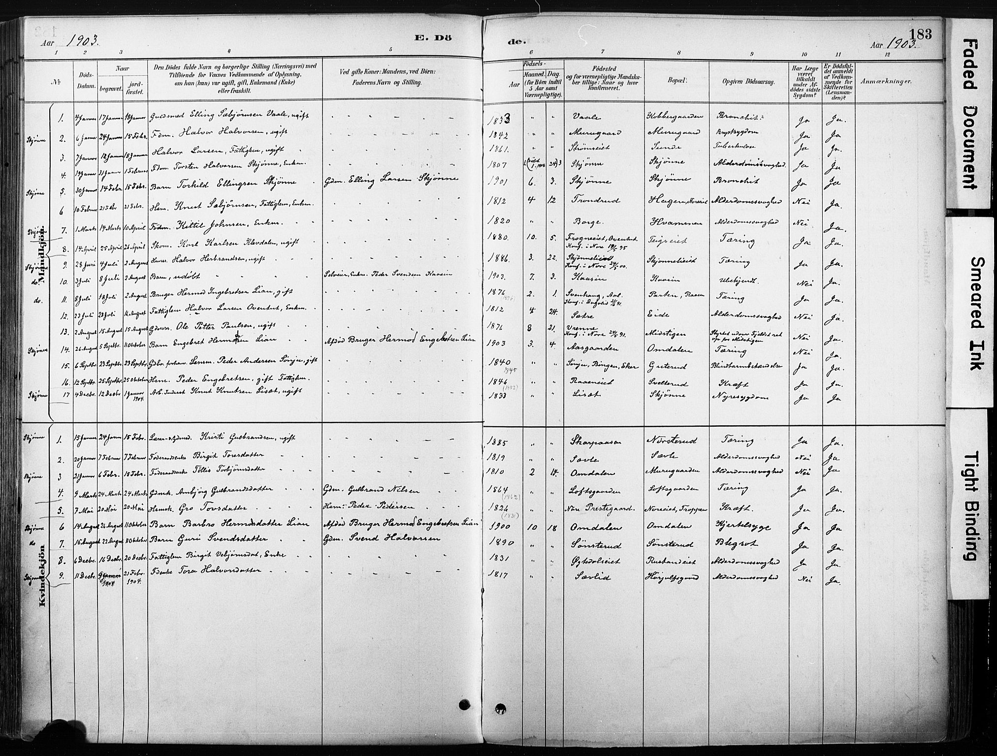 Nore kirkebøker, SAKO/A-238/F/Fb/L0002: Parish register (official) no. II 2, 1886-1906, p. 183