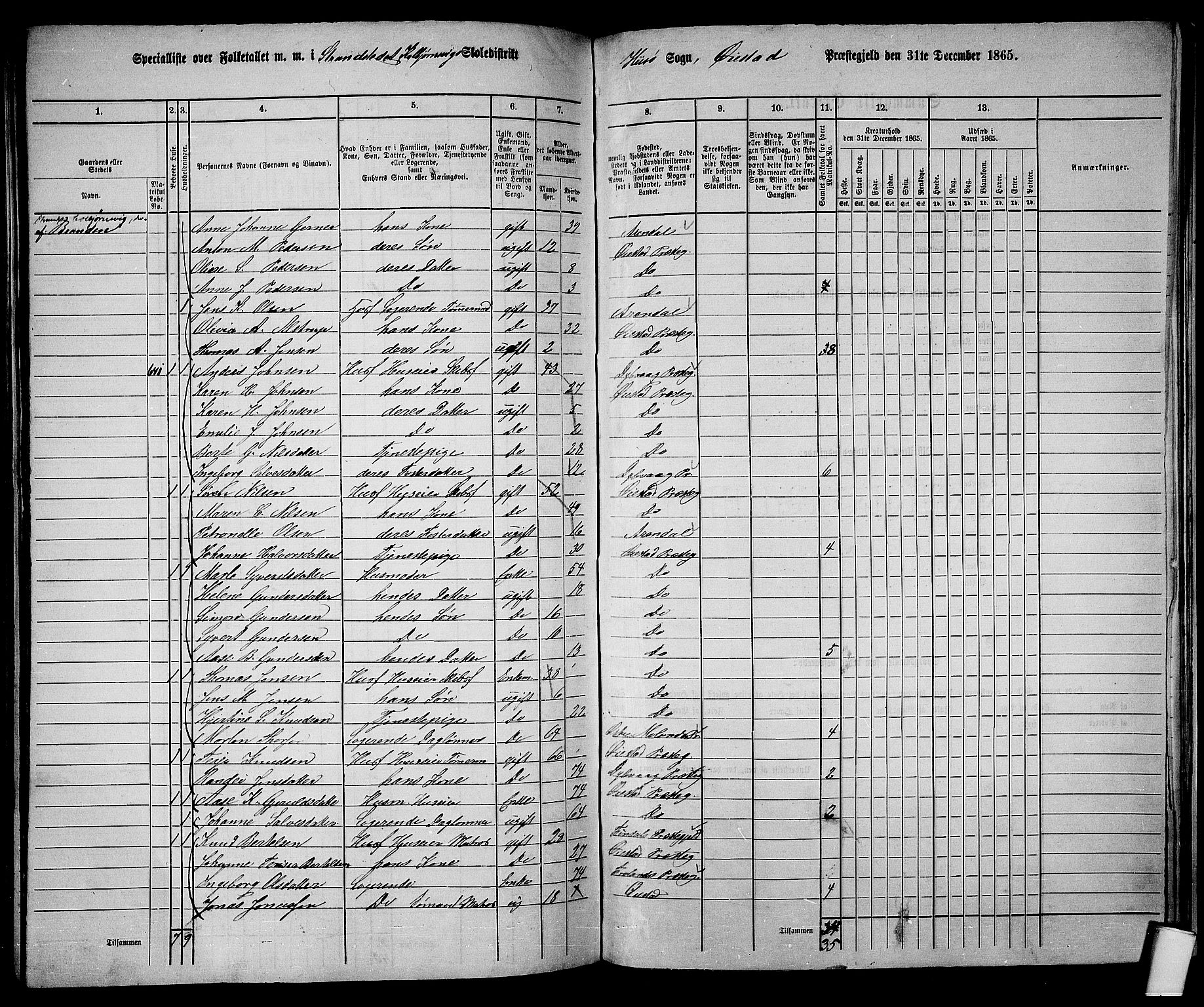 RA, 1865 census for Øyestad, 1865, p. 228