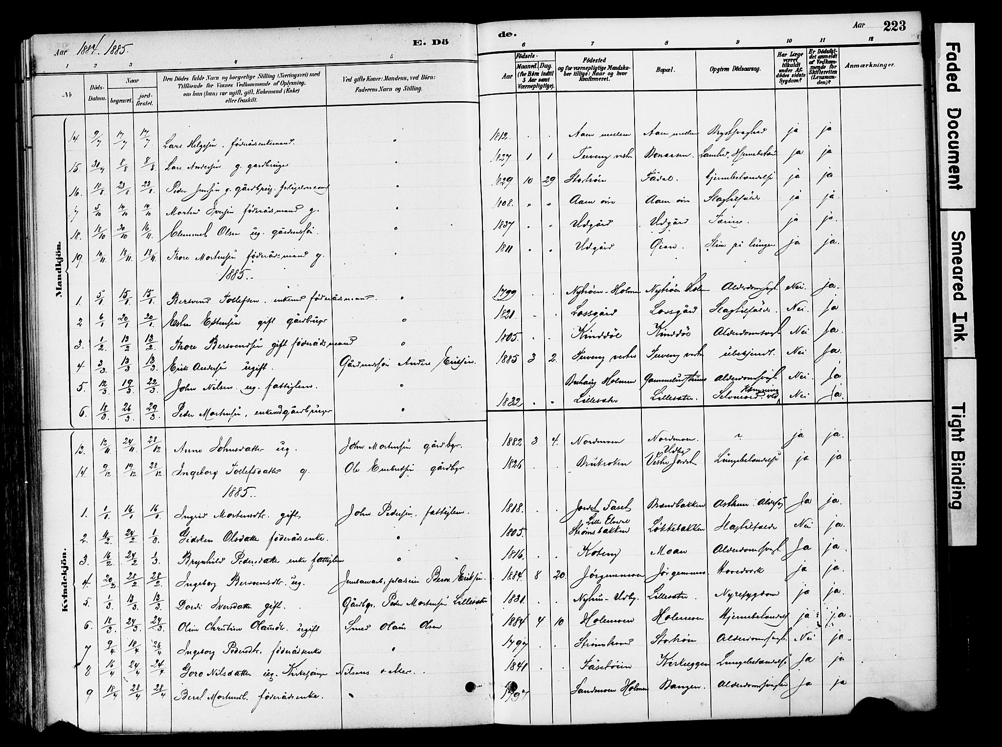 Tynset prestekontor, SAH/PREST-058/H/Ha/Haa/L0022: Parish register (official) no. 22, 1880-1899, p. 223