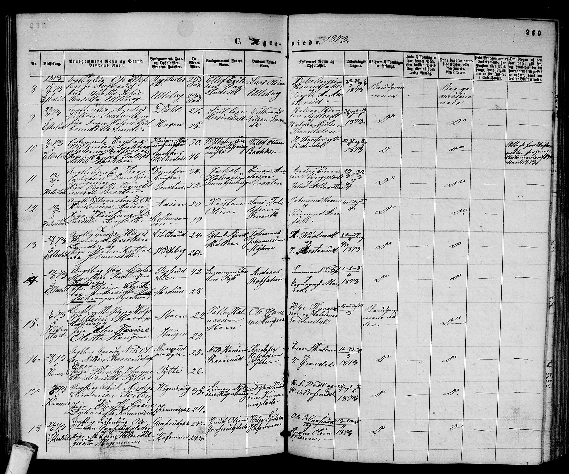 Sandsvær kirkebøker, SAKO/A-244/G/Ga/L0005: Parish register (copy) no. I 5, 1857-1873, p. 260