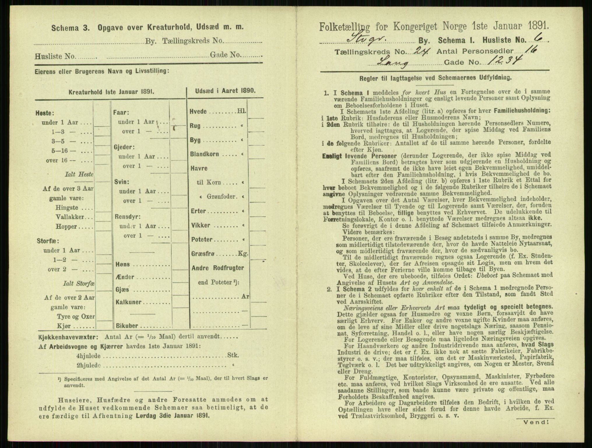 RA, 1891 census for 1103 Stavanger, 1891, p. 4585