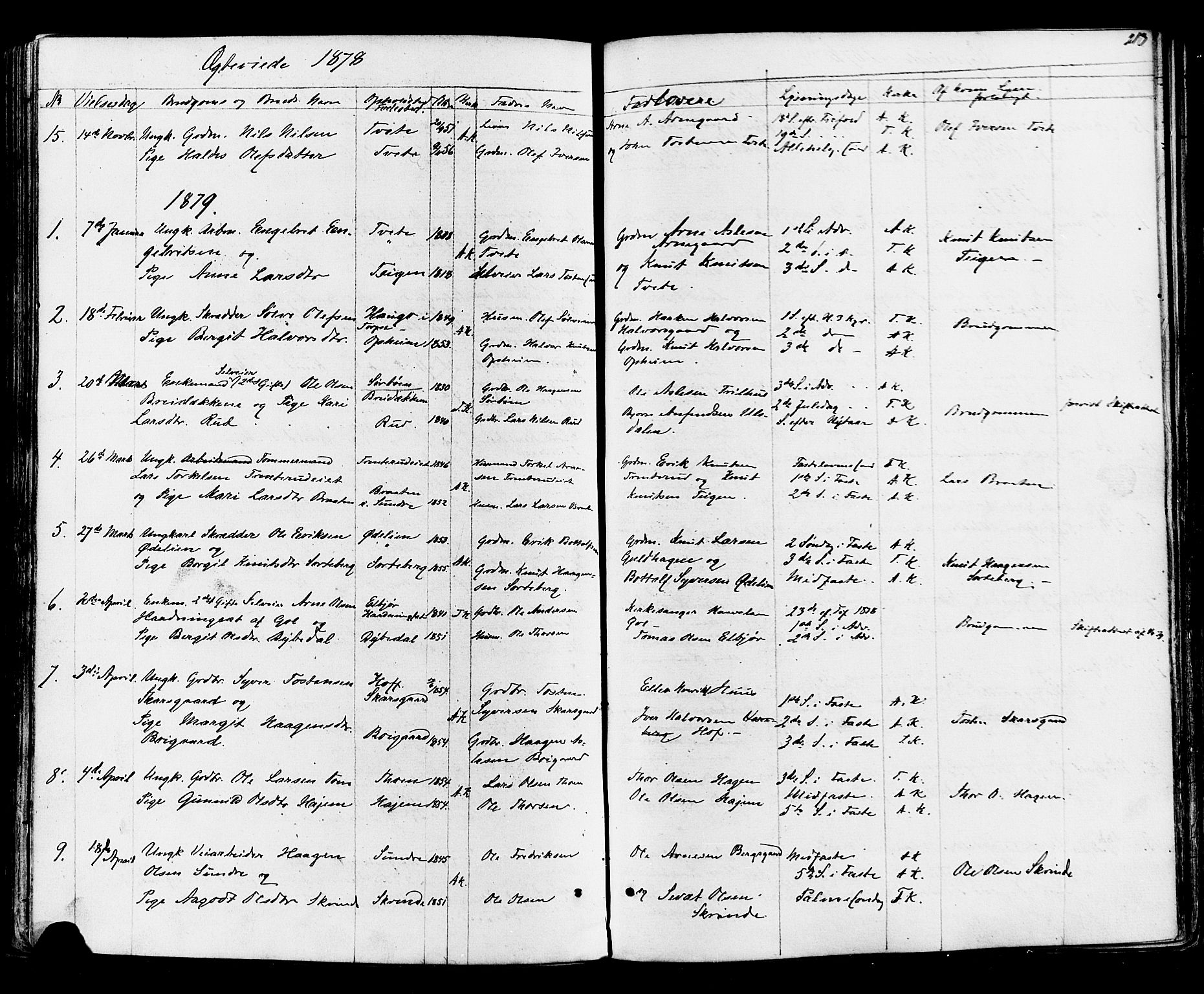 Ål kirkebøker, AV/SAKO-A-249/F/Fa/L0007: Parish register (official) no. I 7, 1865-1881, p. 213