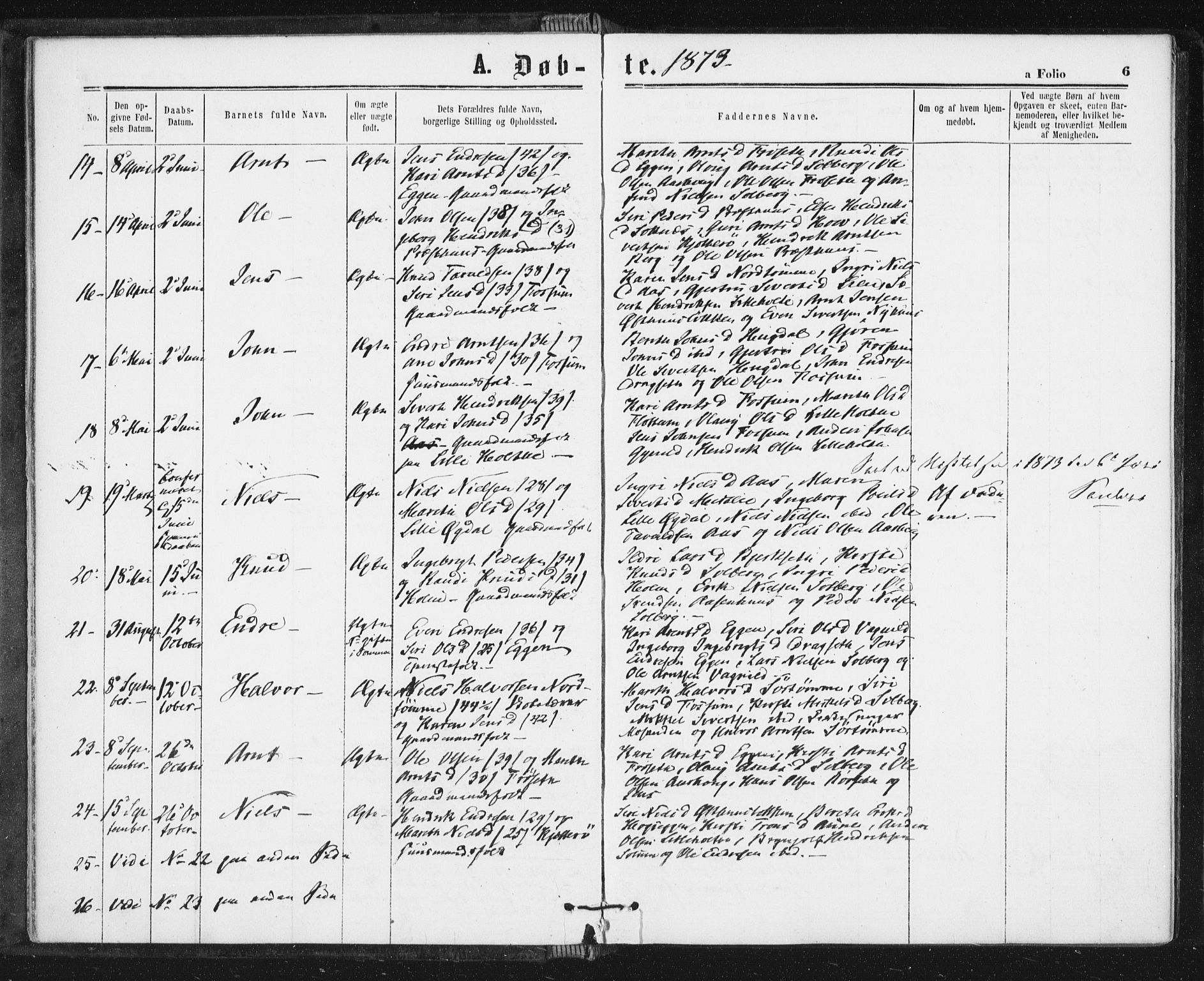 Ministerialprotokoller, klokkerbøker og fødselsregistre - Sør-Trøndelag, SAT/A-1456/689/L1039: Parish register (official) no. 689A04, 1865-1878, p. 6