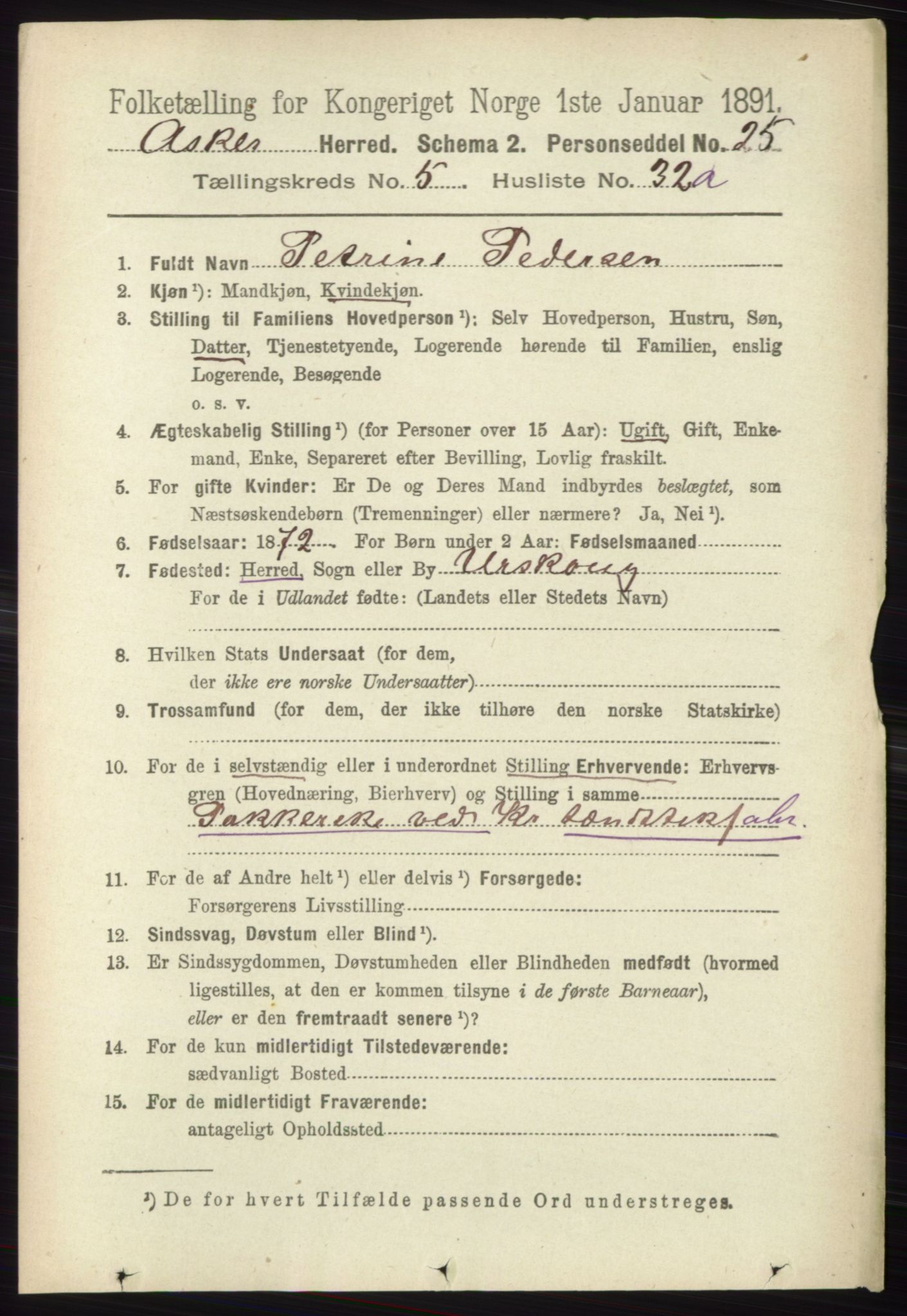 RA, 1891 census for 0220 Asker, 1891, p. 4038