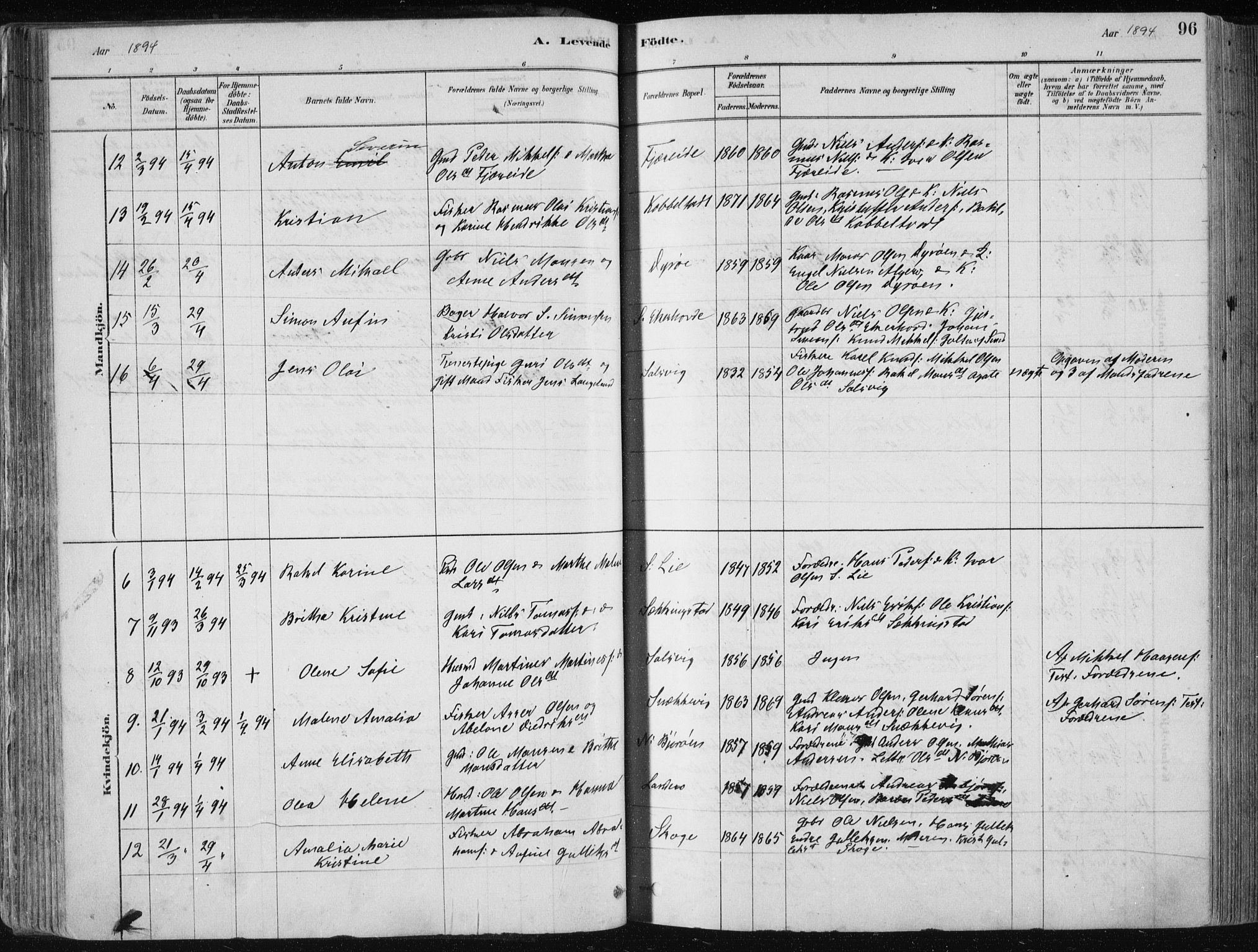 Fjell sokneprestembete, SAB/A-75301/H/Haa: Parish register (official) no. A  8, 1878-1898, p. 96