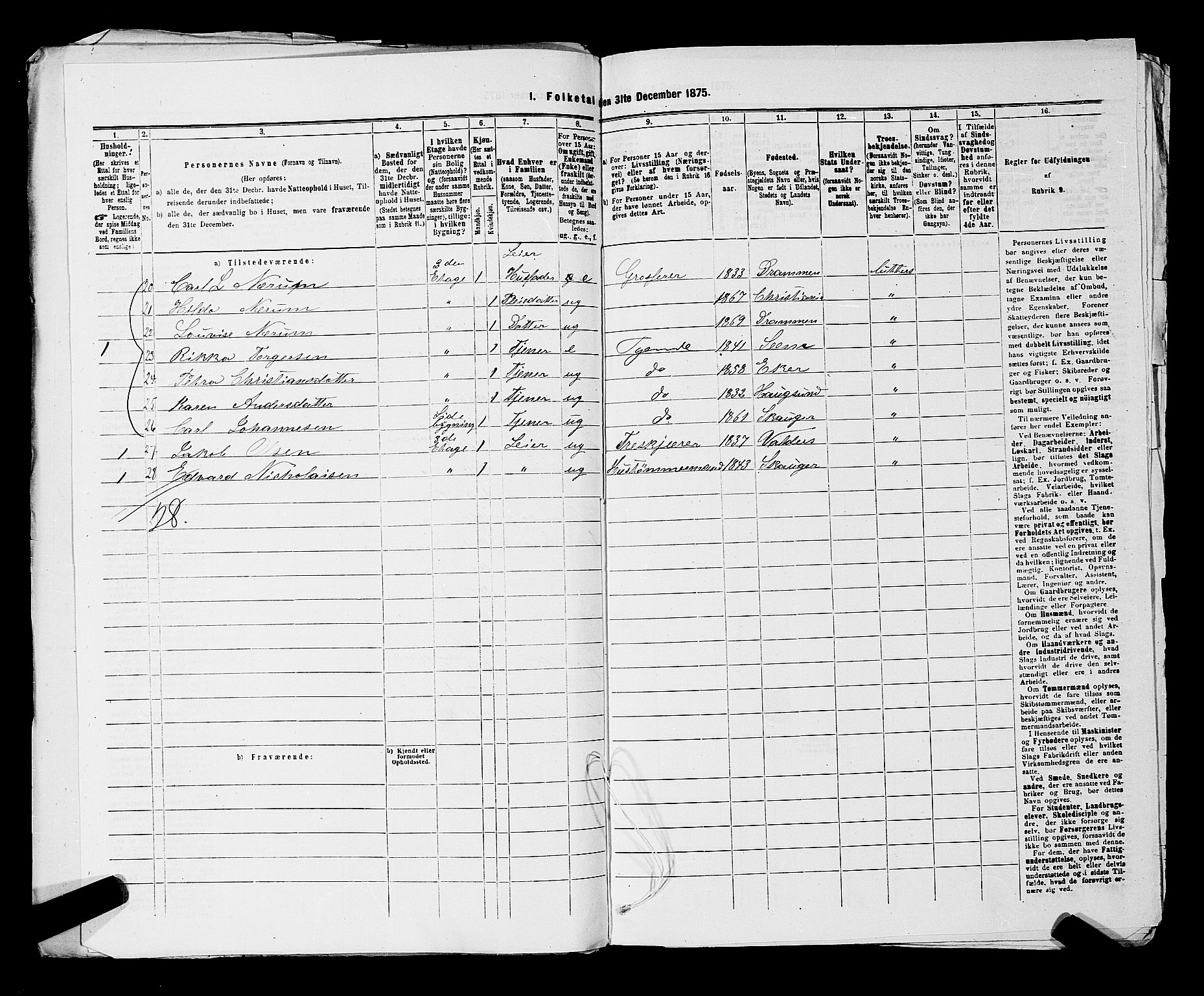 SAKO, 1875 census for 0602 Drammen, 1875, p. 2676