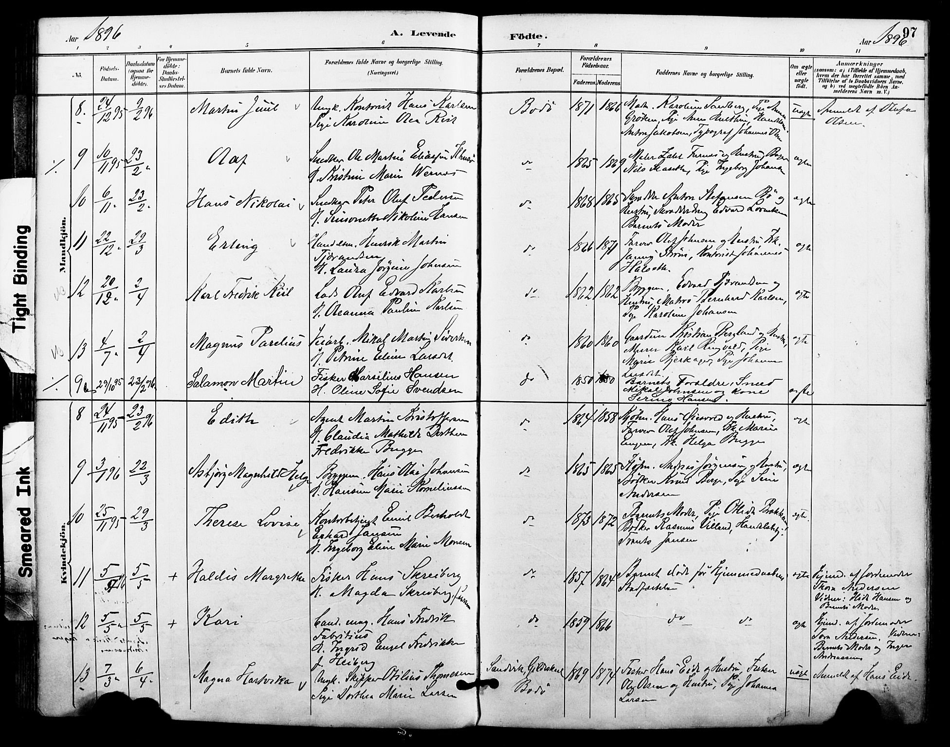 Ministerialprotokoller, klokkerbøker og fødselsregistre - Nordland, AV/SAT-A-1459/801/L0010: Parish register (official) no. 801A10, 1888-1899, p. 97