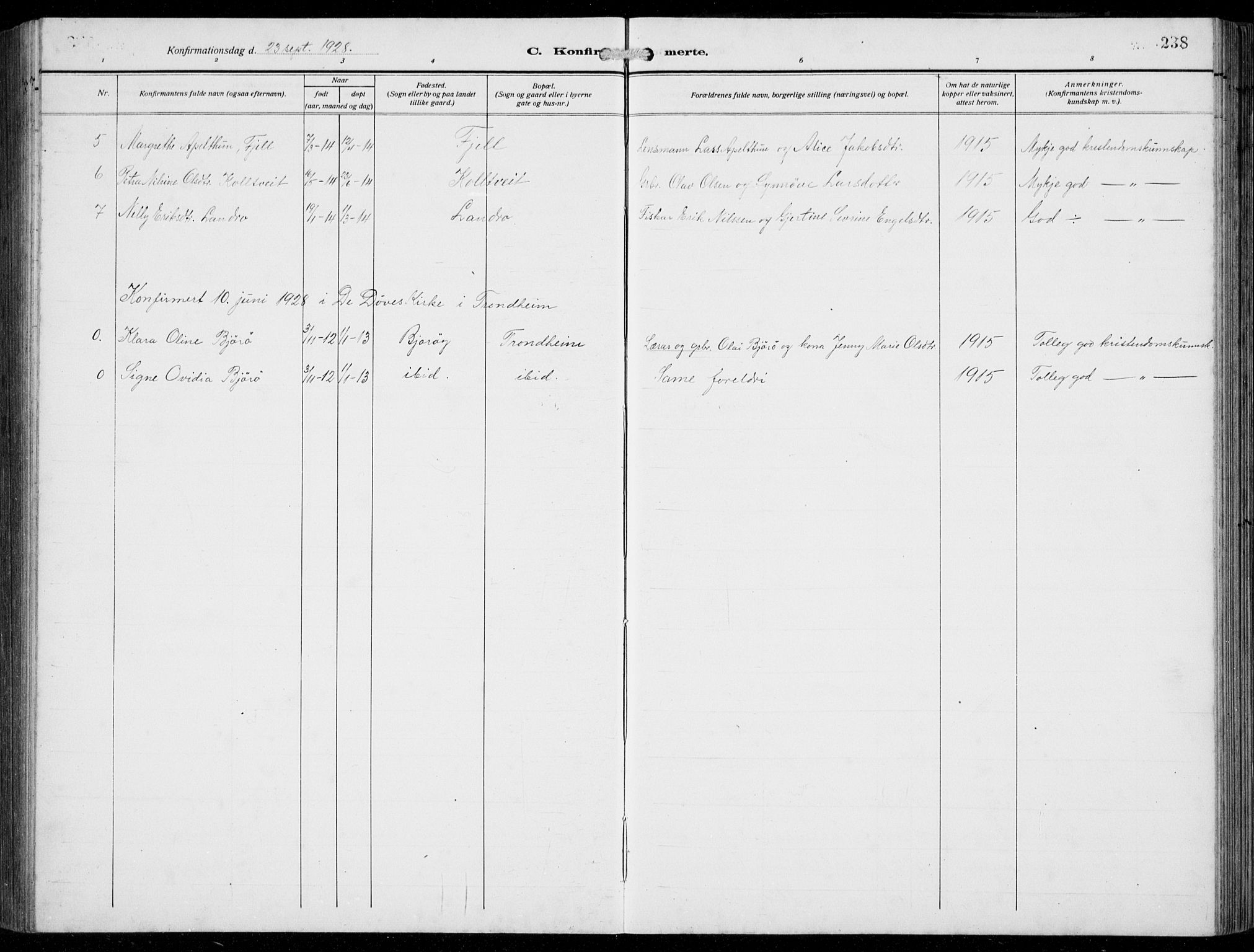 Fjell sokneprestembete, AV/SAB-A-75301/H/Hab: Parish register (copy) no. A  6, 1918-1936, p. 238