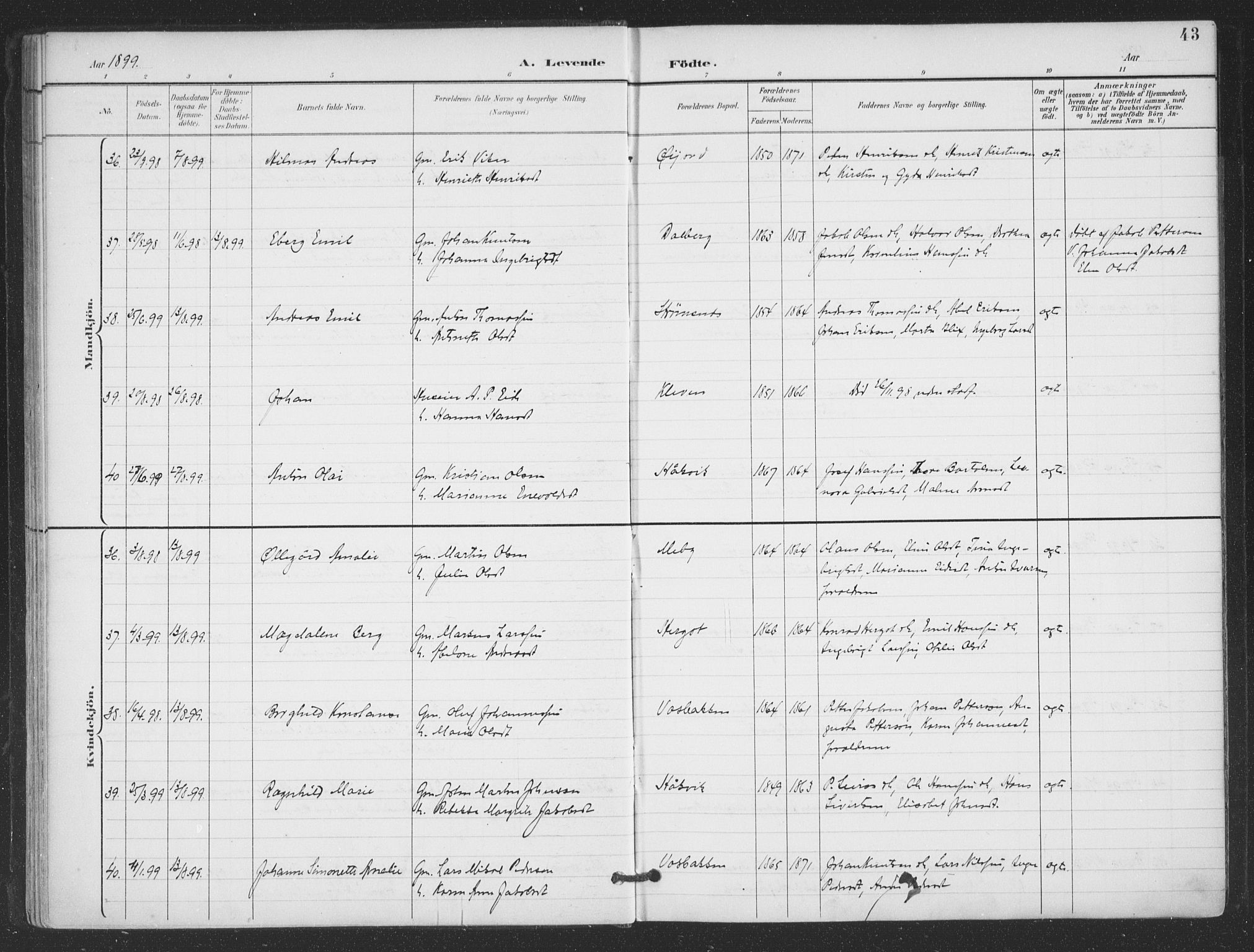 Ministerialprotokoller, klokkerbøker og fødselsregistre - Nordland, AV/SAT-A-1459/866/L0939: Parish register (official) no. 866A02, 1894-1906, p. 43