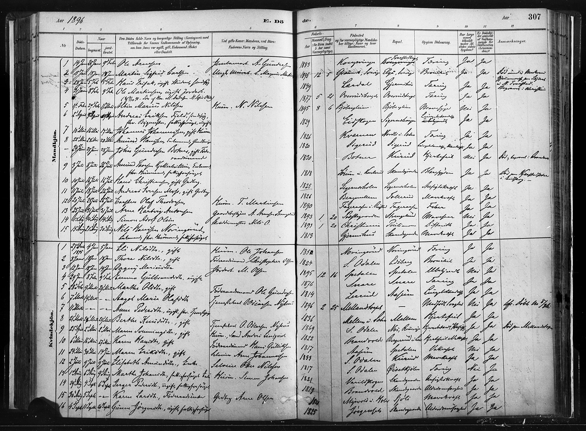 Vinger prestekontor, AV/SAH-PREST-024/H/Ha/Haa/L0014: Parish register (official) no. 14, 1881-1900, p. 307