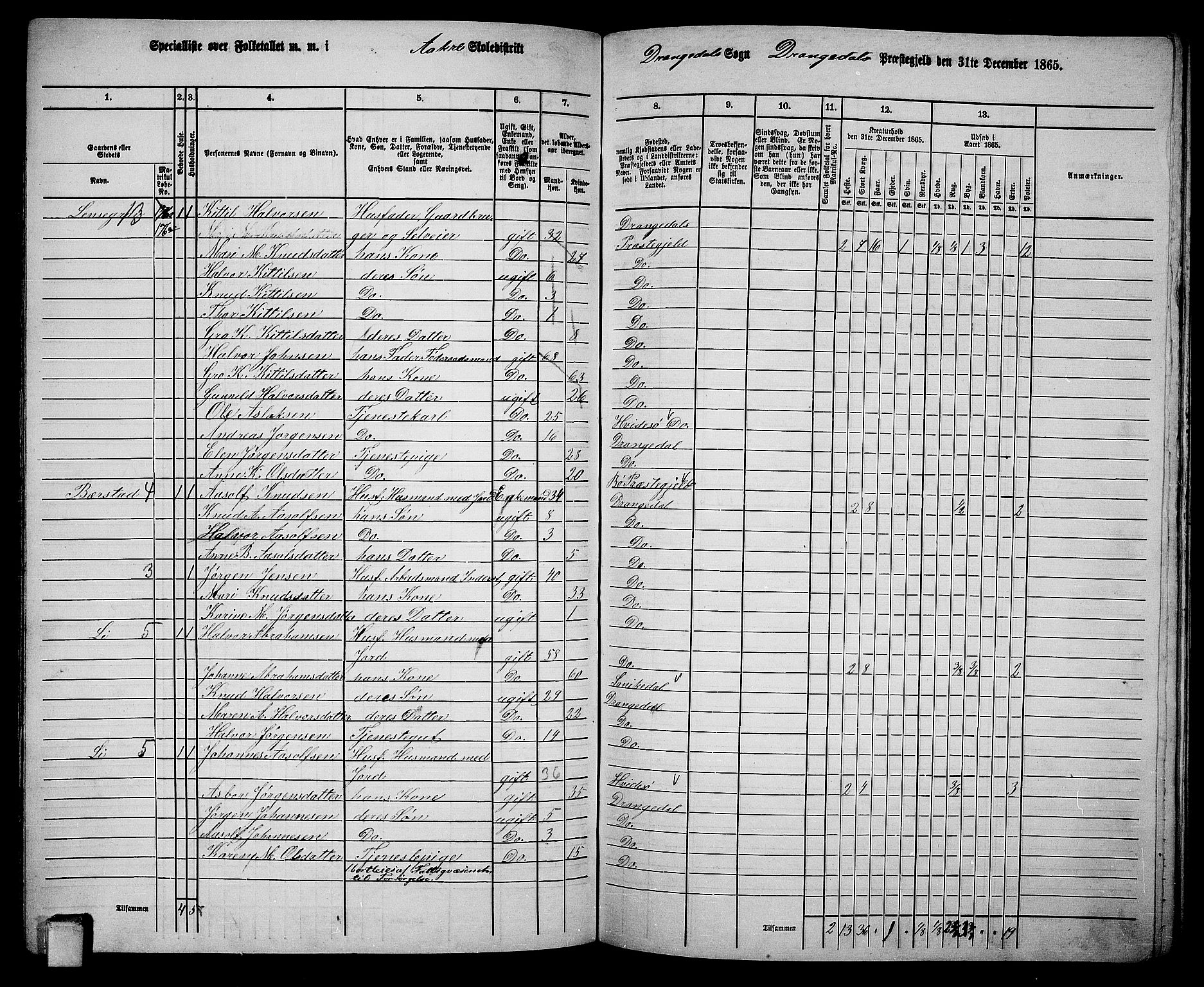 RA, 1865 census for Drangedal, 1865, p. 91