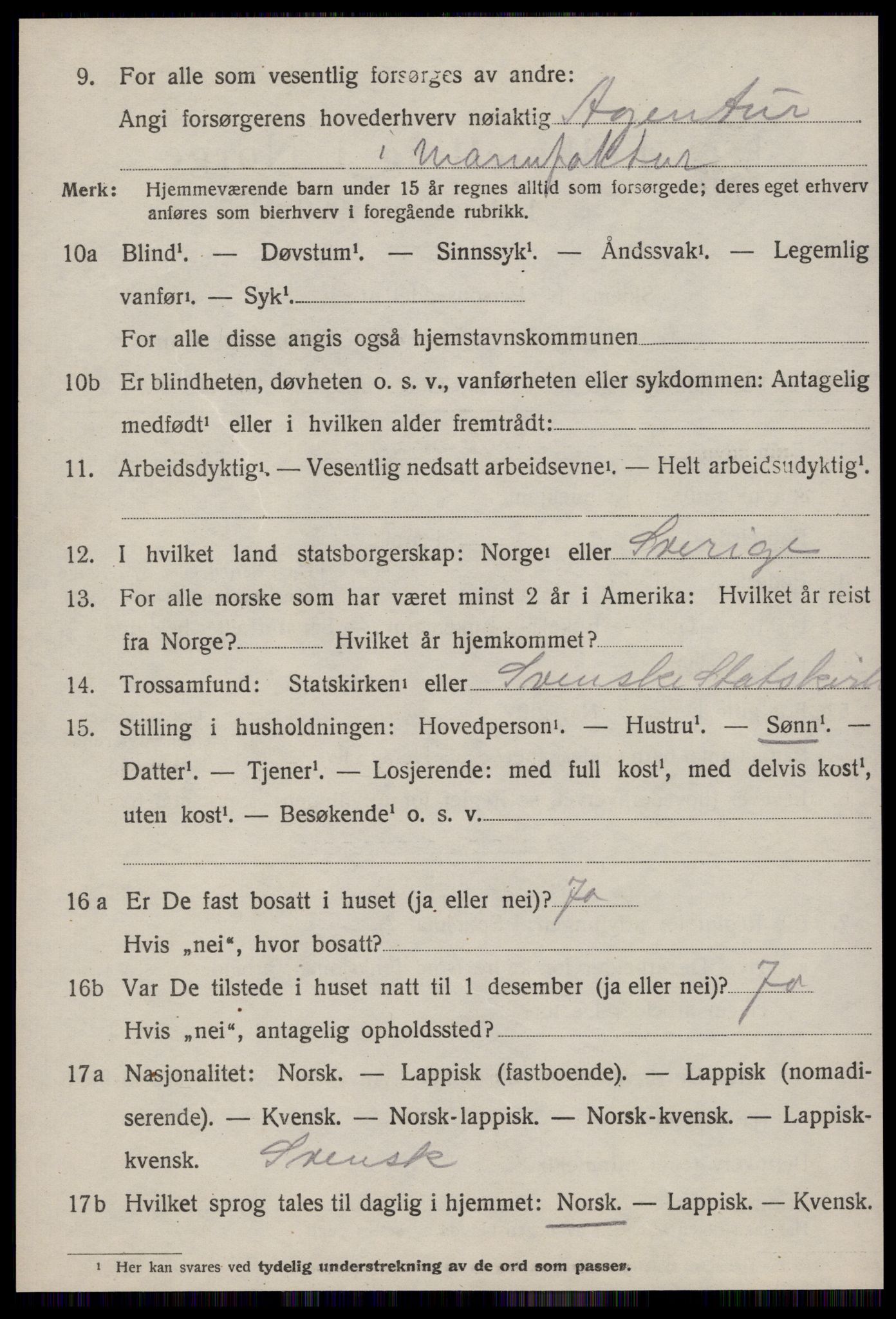 SAT, 1920 census for Strinda, 1920, p. 25031