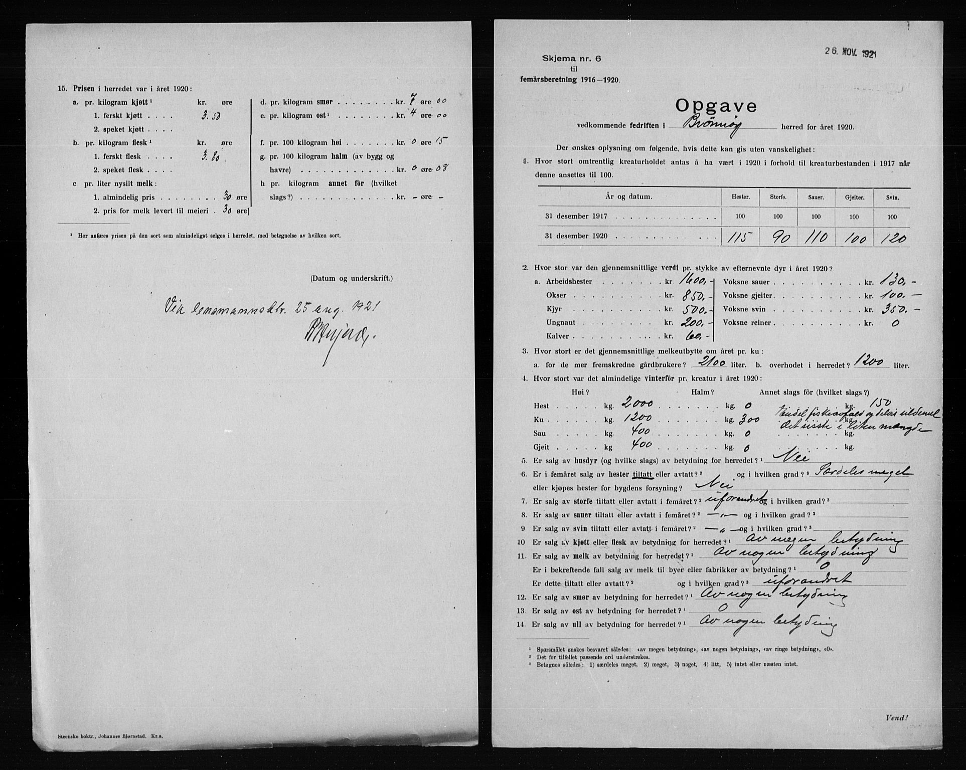 Statistisk sentralbyrå, Næringsøkonomiske emner, Generelt - Amtmennenes femårsberetninger, AV/RA-S-2233/F/Fa/L0128: --, 1916-1920, p. 4