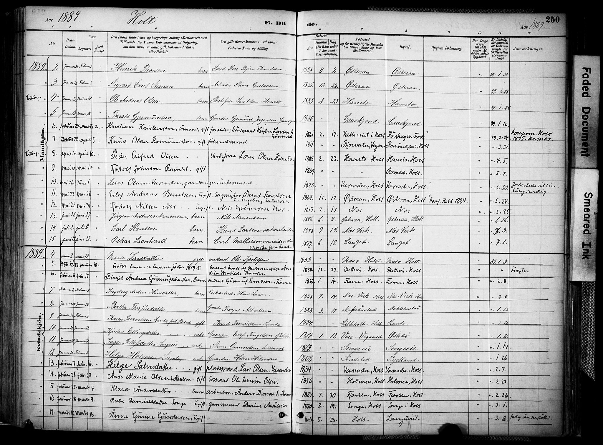 Holt sokneprestkontor, AV/SAK-1111-0021/F/Fa/L0012: Parish register (official) no. A 12, 1885-1907, p. 250