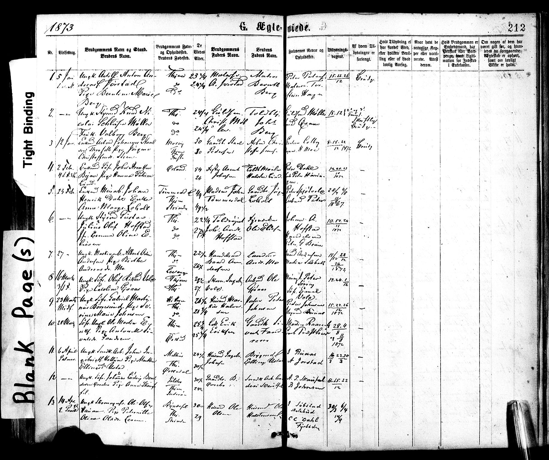 Ministerialprotokoller, klokkerbøker og fødselsregistre - Sør-Trøndelag, AV/SAT-A-1456/602/L0118: Parish register (official) no. 602A16, 1873-1879, p. 212