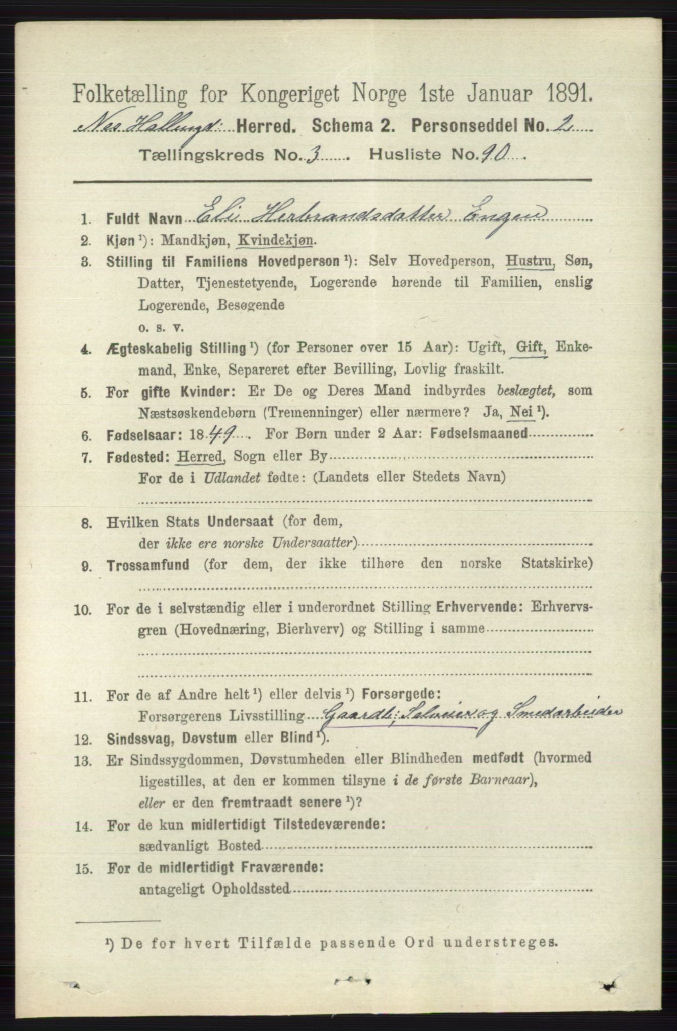 RA, 1891 census for 0616 Nes, 1891, p. 2019