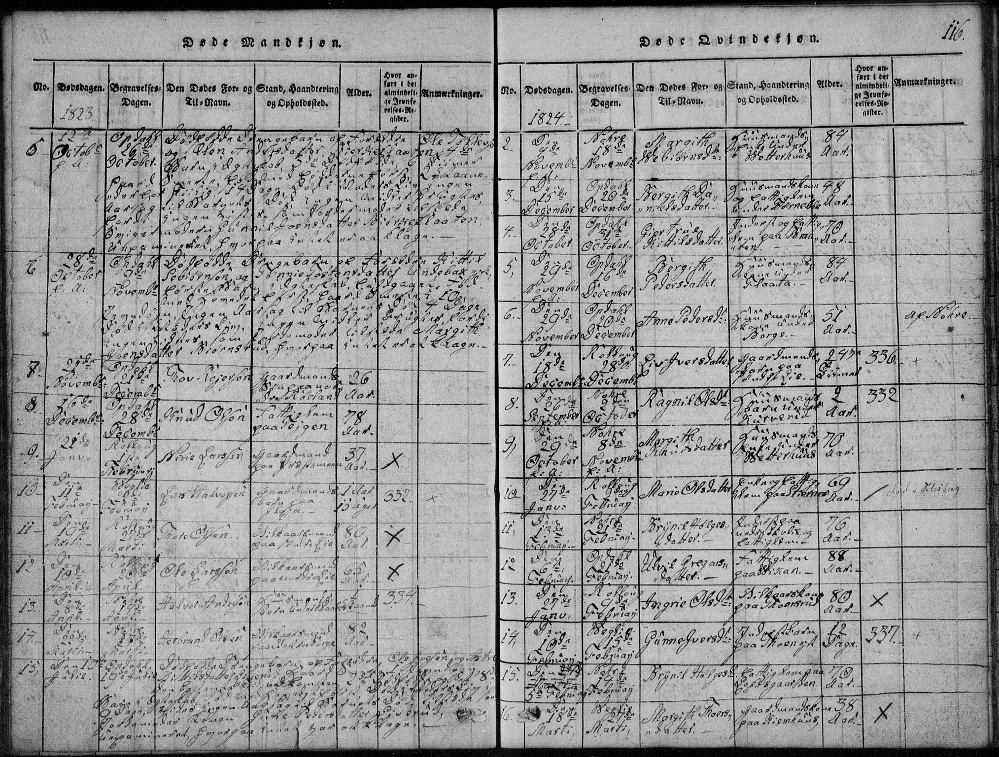 Rollag kirkebøker, AV/SAKO-A-240/G/Ga/L0001: Parish register (copy) no. I 1, 1814-1831, p. 116