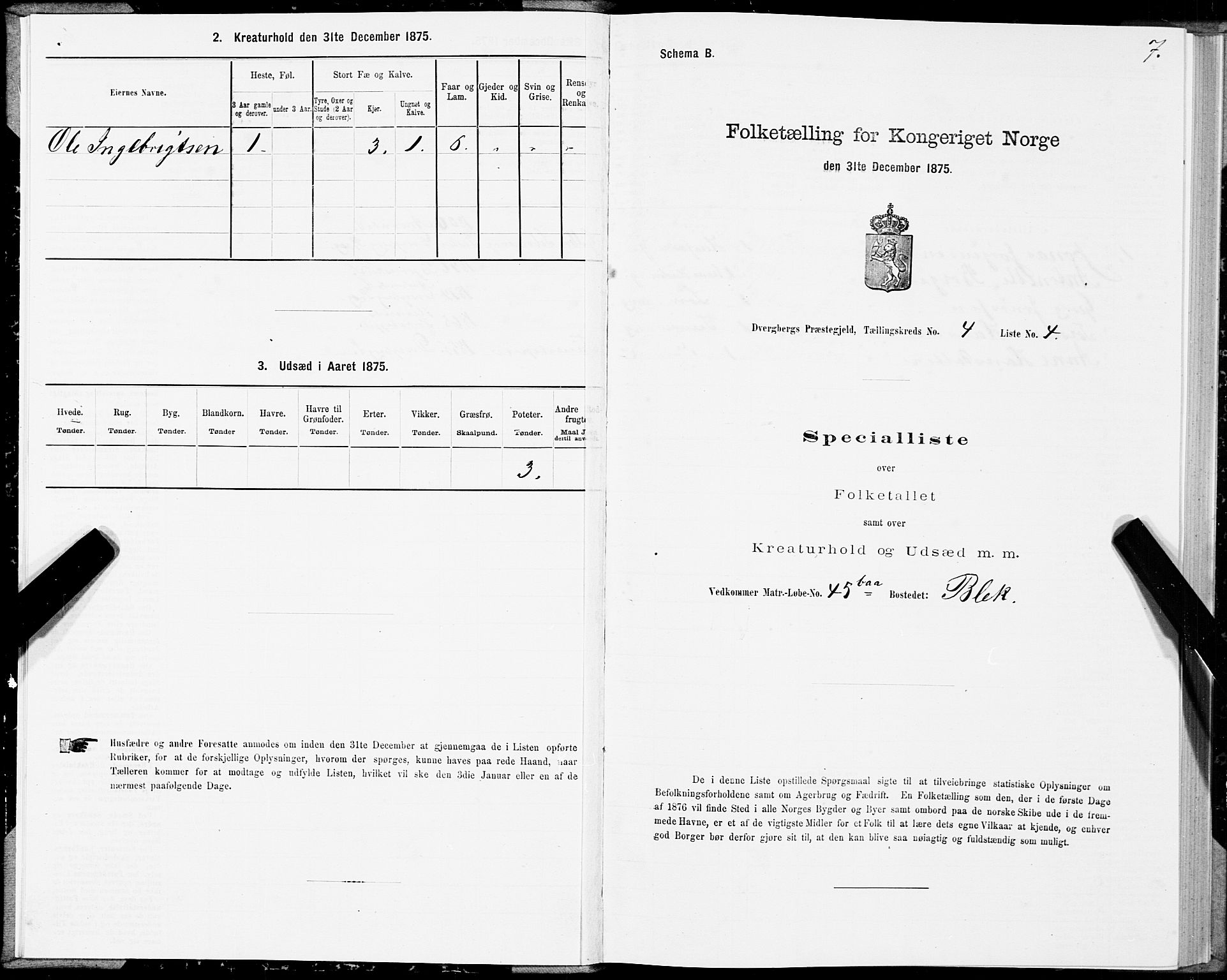 SAT, 1875 census for 1872P Dverberg, 1875, p. 3007