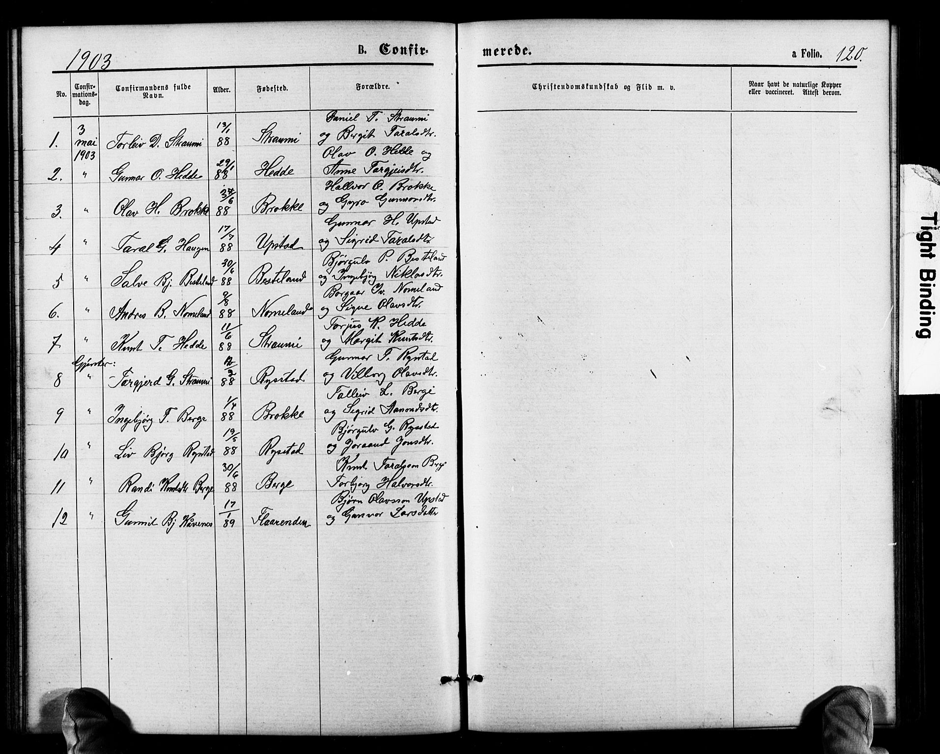 Valle sokneprestkontor, SAK/1111-0044/F/Fb/Fbb/L0002: Parish register (copy) no. B 2, 1875-1921, p. 120