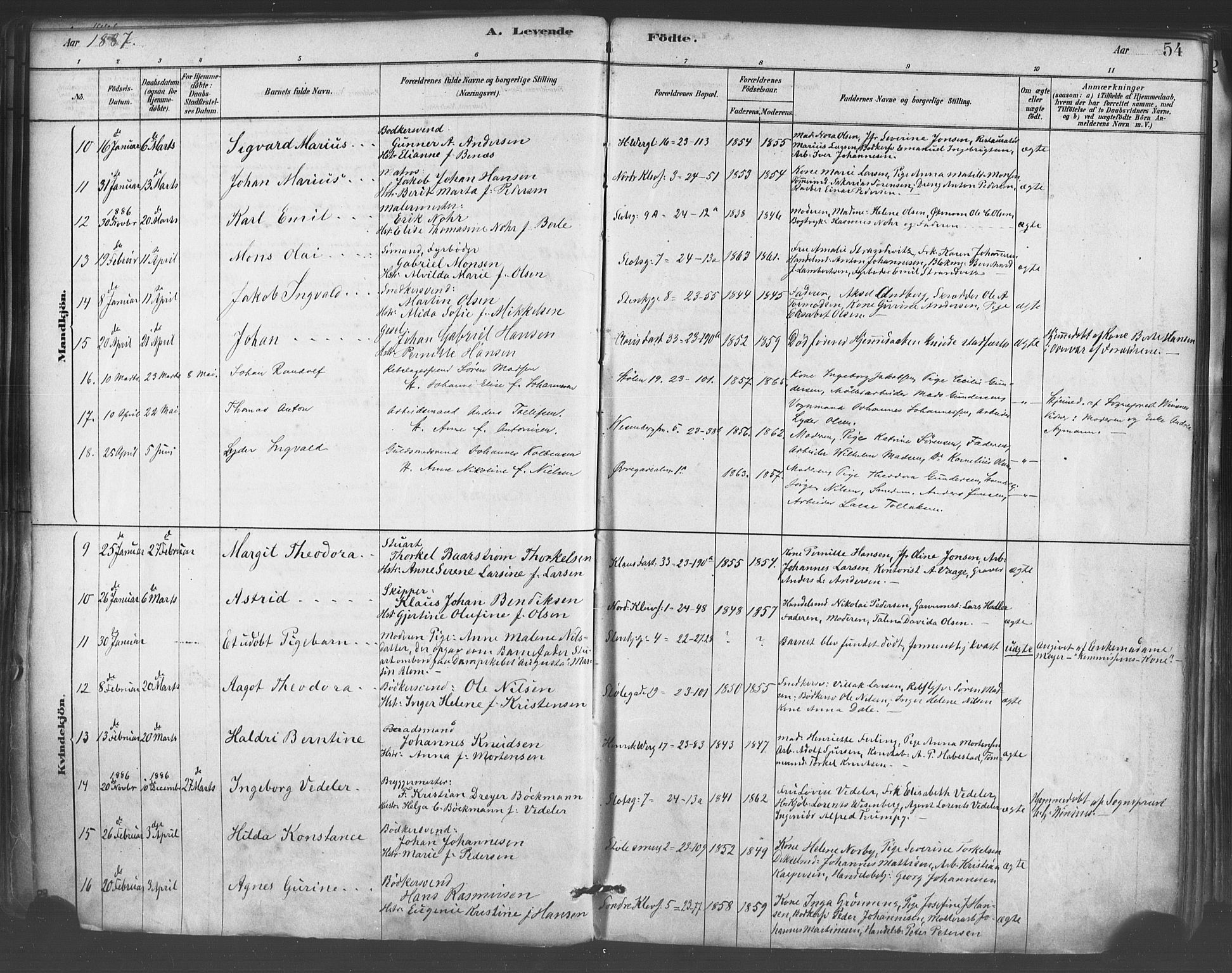 Mariakirken Sokneprestembete, SAB/A-76901/H/Haa/L0007: Parish register (official) no. A 7, 1878-1893, p. 54
