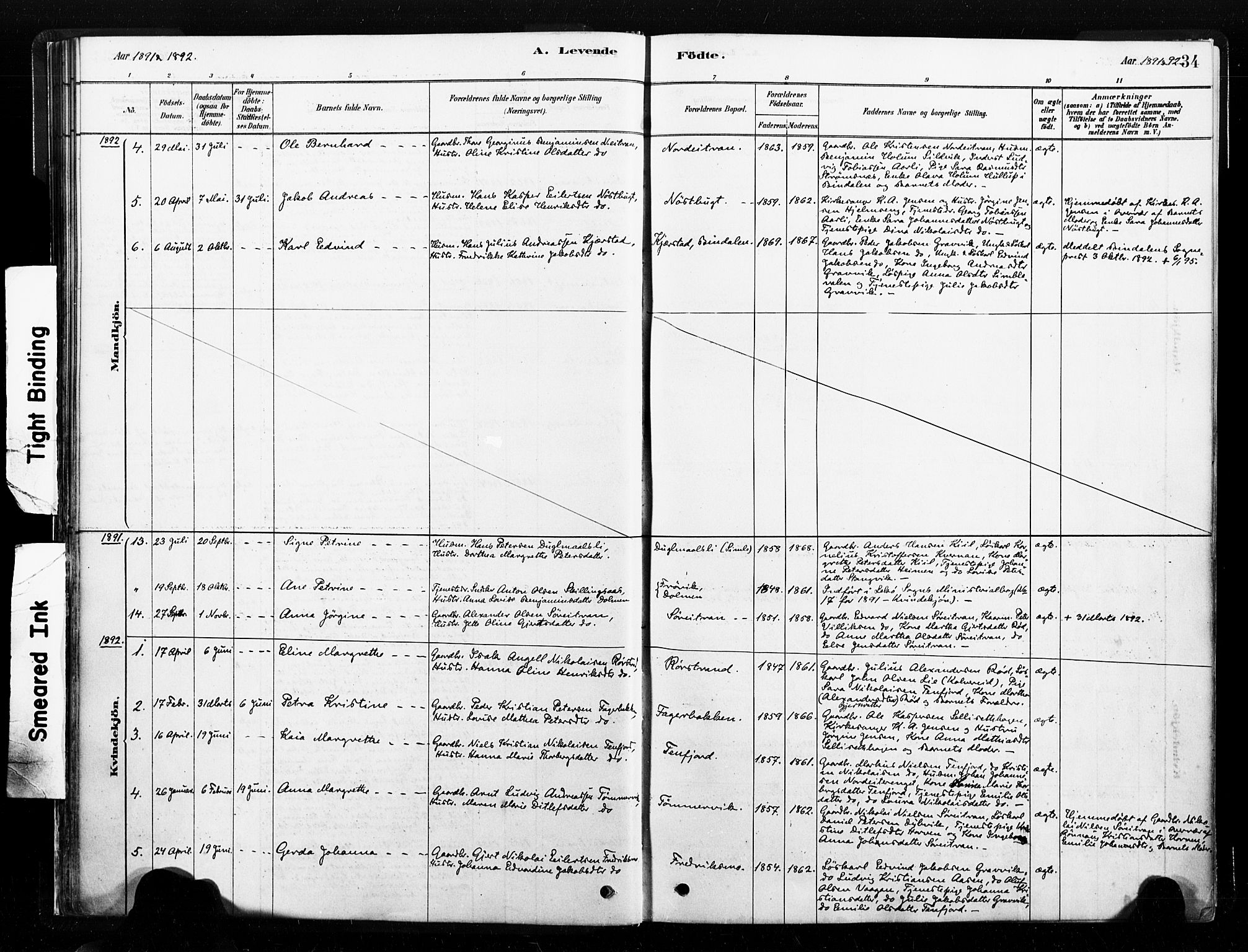 Ministerialprotokoller, klokkerbøker og fødselsregistre - Nord-Trøndelag, SAT/A-1458/789/L0705: Parish register (official) no. 789A01, 1878-1910, p. 34