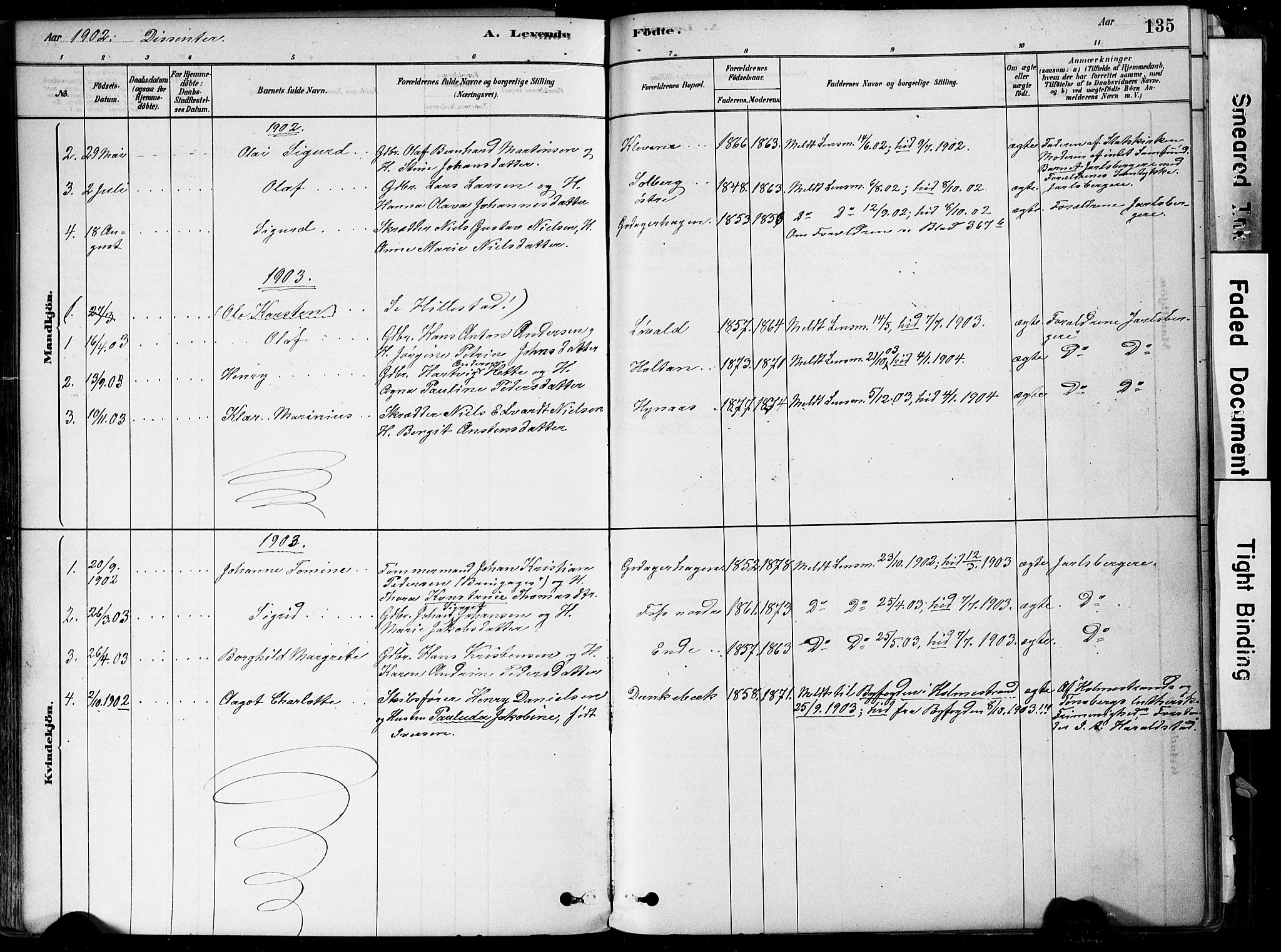 Botne kirkebøker, AV/SAKO-A-340/F/Fa/L0007: Parish register (official) no. I 7, 1878-1910, p. 135