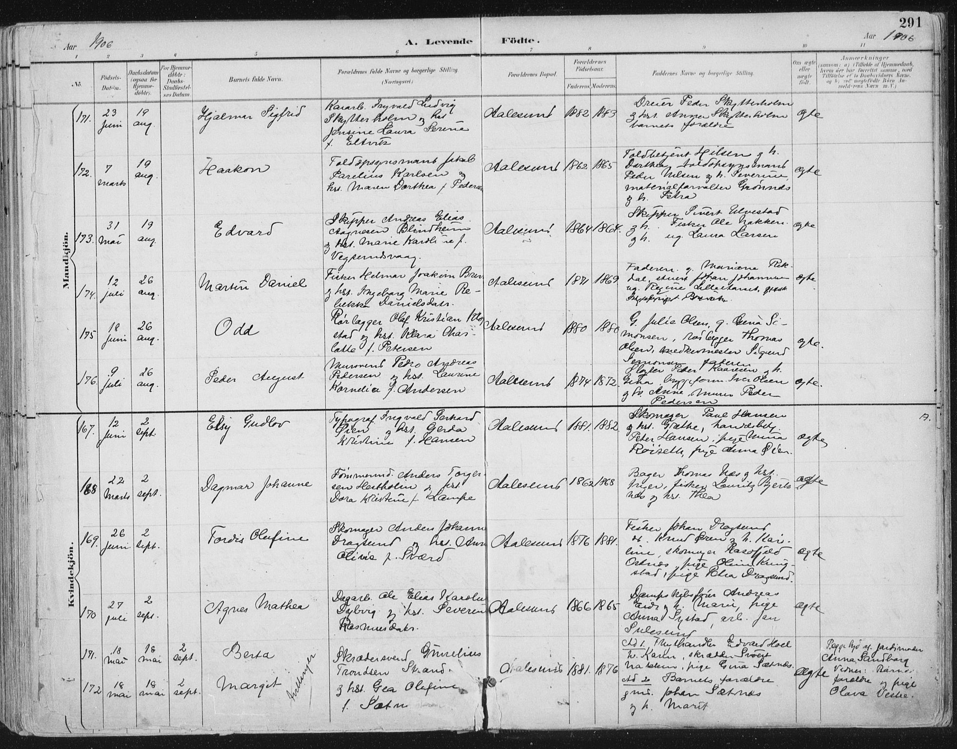 Ministerialprotokoller, klokkerbøker og fødselsregistre - Møre og Romsdal, AV/SAT-A-1454/529/L0456: Parish register (official) no. 529A06, 1894-1906, p. 291