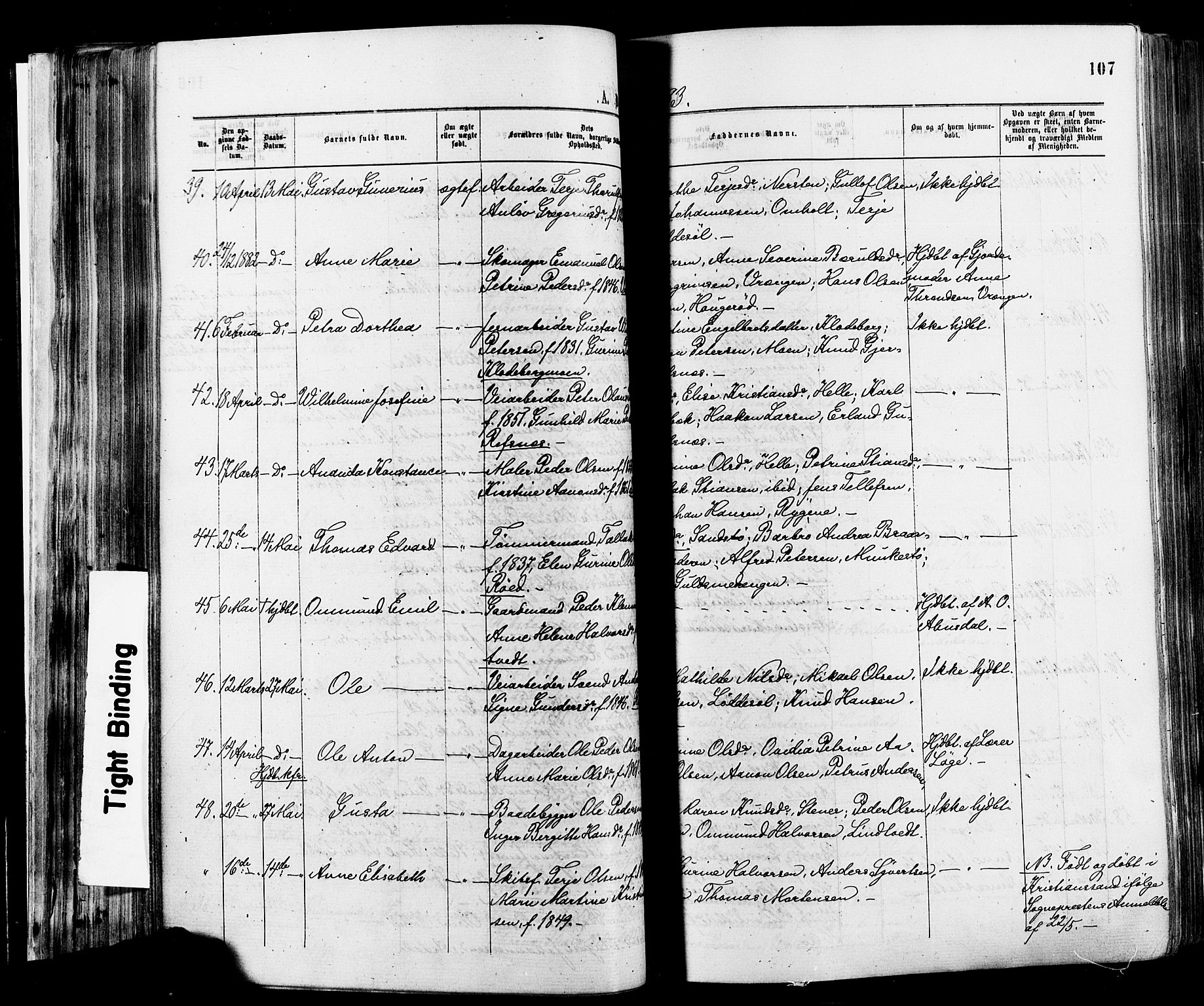 Øyestad sokneprestkontor, AV/SAK-1111-0049/F/Fa/L0016: Parish register (official) no. A 16, 1874-1886, p. 107