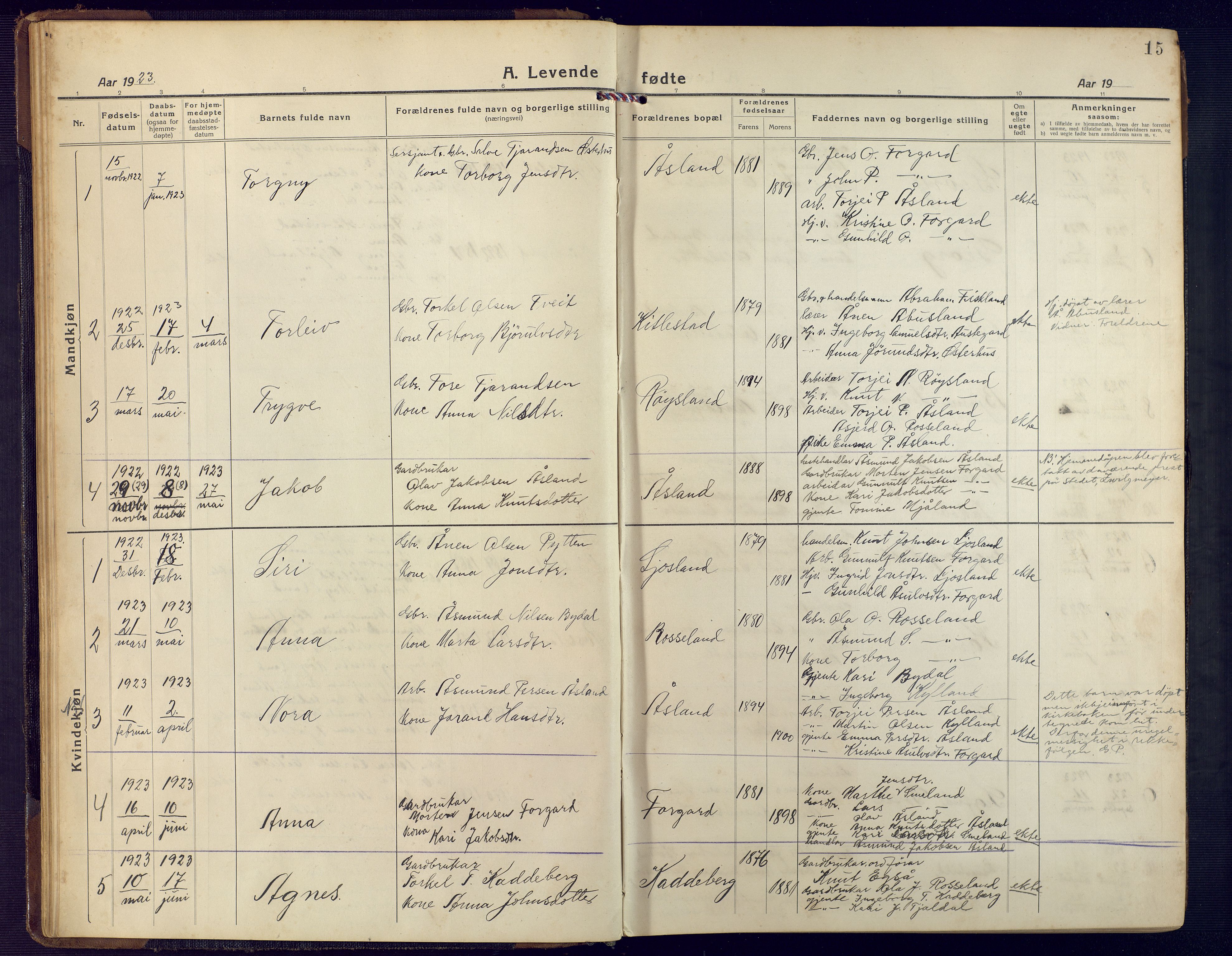 Åseral sokneprestkontor, SAK/1111-0051/F/Fb/L0004: Parish register (copy) no. B 4, 1920-1946, p. 15